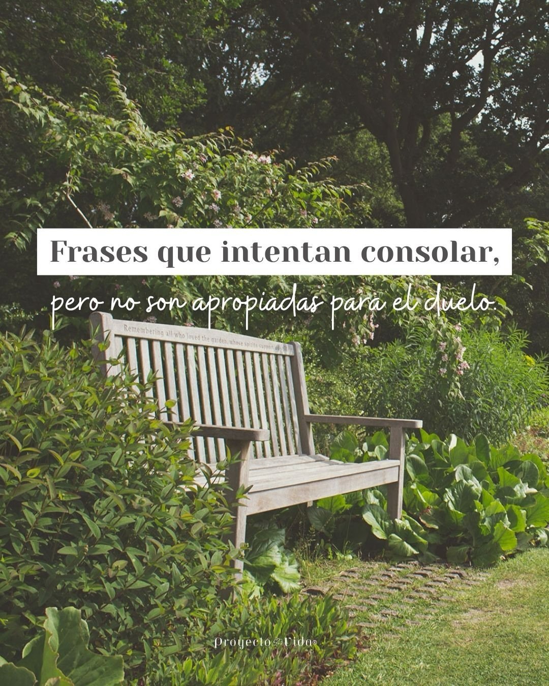 En el duelo podemos ver dos caras, la persona que pierde a alguien que amaba y las personas que van a acompa&ntilde;arnos en el proceso.

Tal vez; para ambos, es la primera vez que les toca atravesar y acompa&ntilde;ar a una persona ante una p&eacute