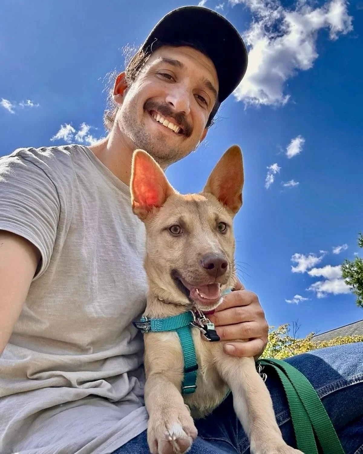 Happy #selfiesaturday from your friends at Pet Fit! Hope everyone has a spectacular Labor Day weekend ☀️

.

Photos by Reilly, Stevie, Lauren, &amp; Yungee 📸 Post by Natalie! 

#dogwalkingservices #dogwalker #dogwalking #dogwalk #Columbia #howardcou