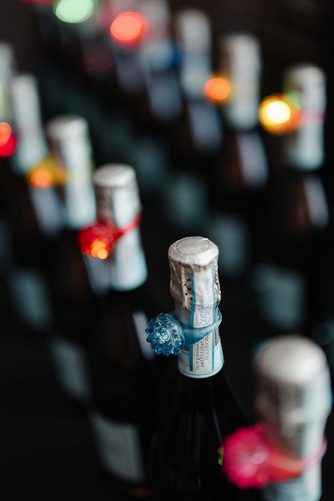 BSF - Spring for Schools 2026-157.jpg