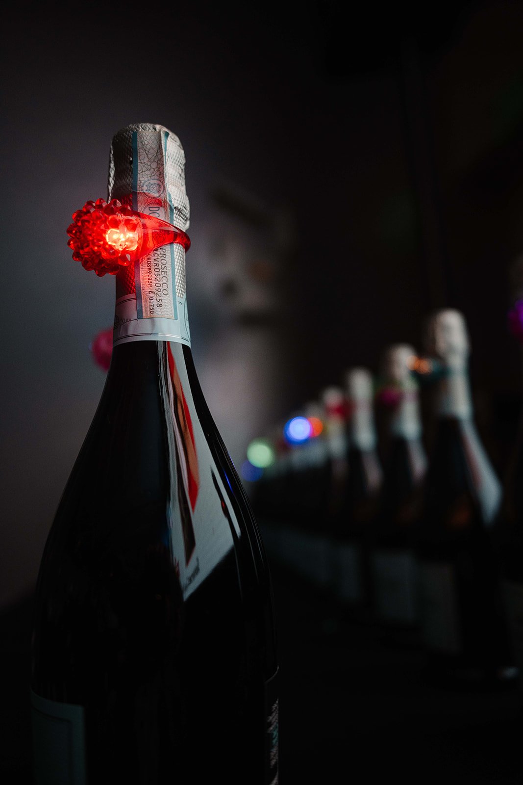 BSF - Spring for Schools 2026-018.jpg