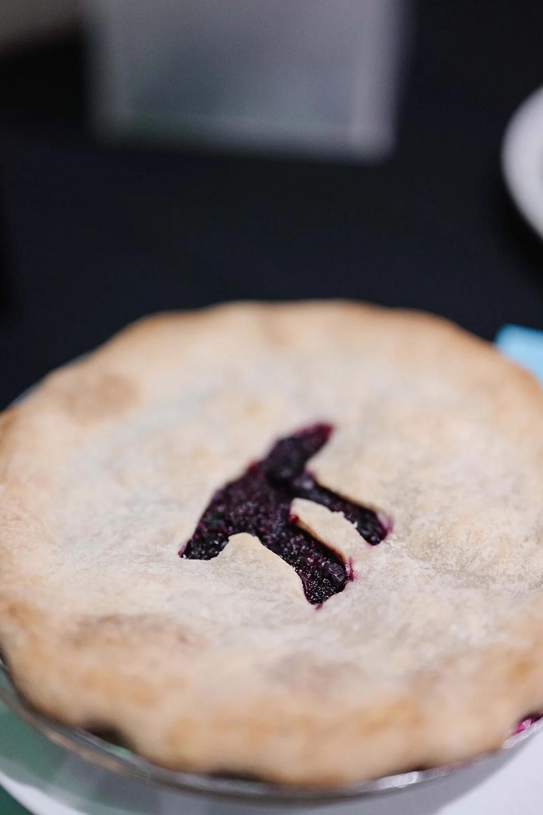 BSF - Spring for Schools 2026-055.jpg