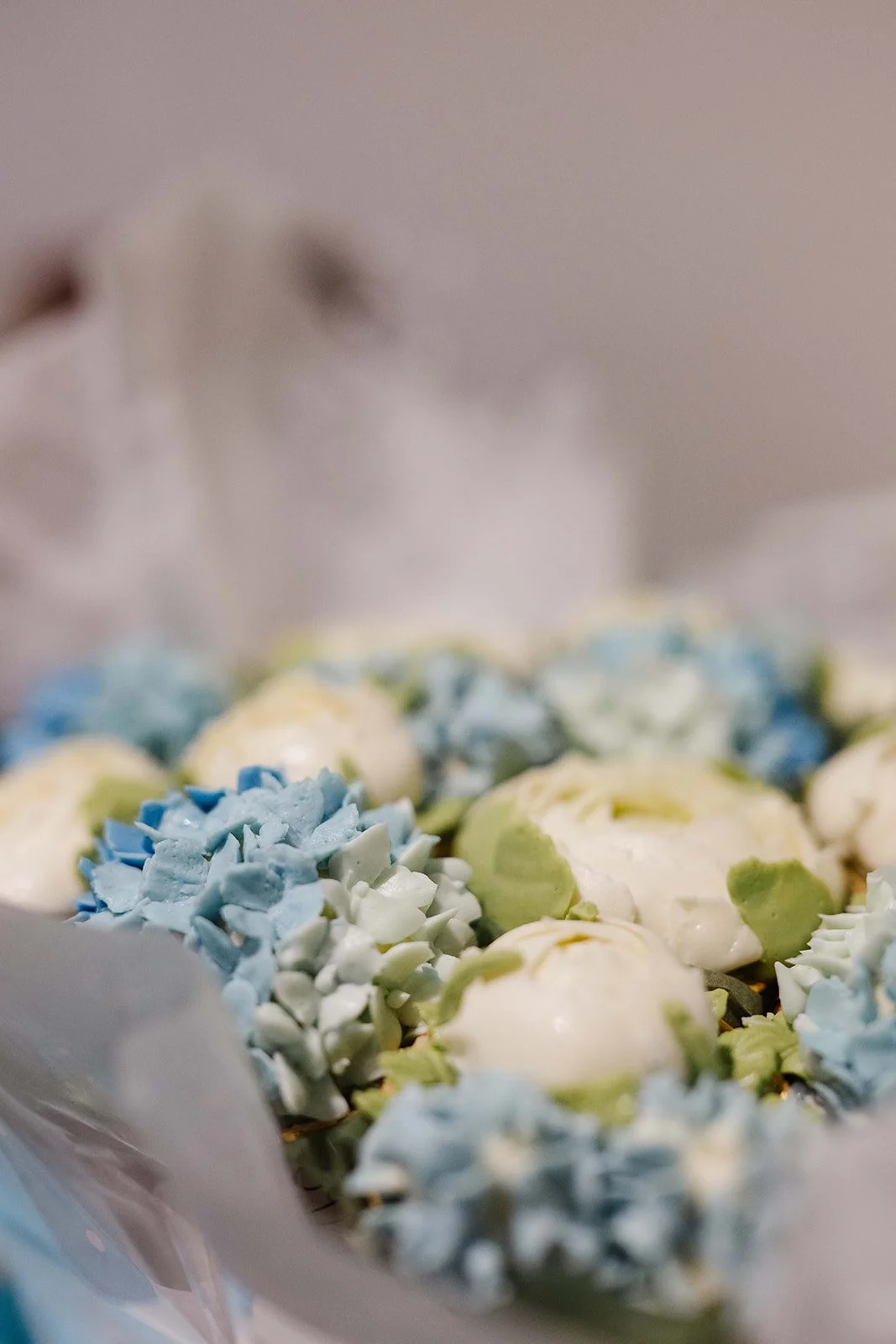 BSF - Spring for Schools 2026-054.jpg