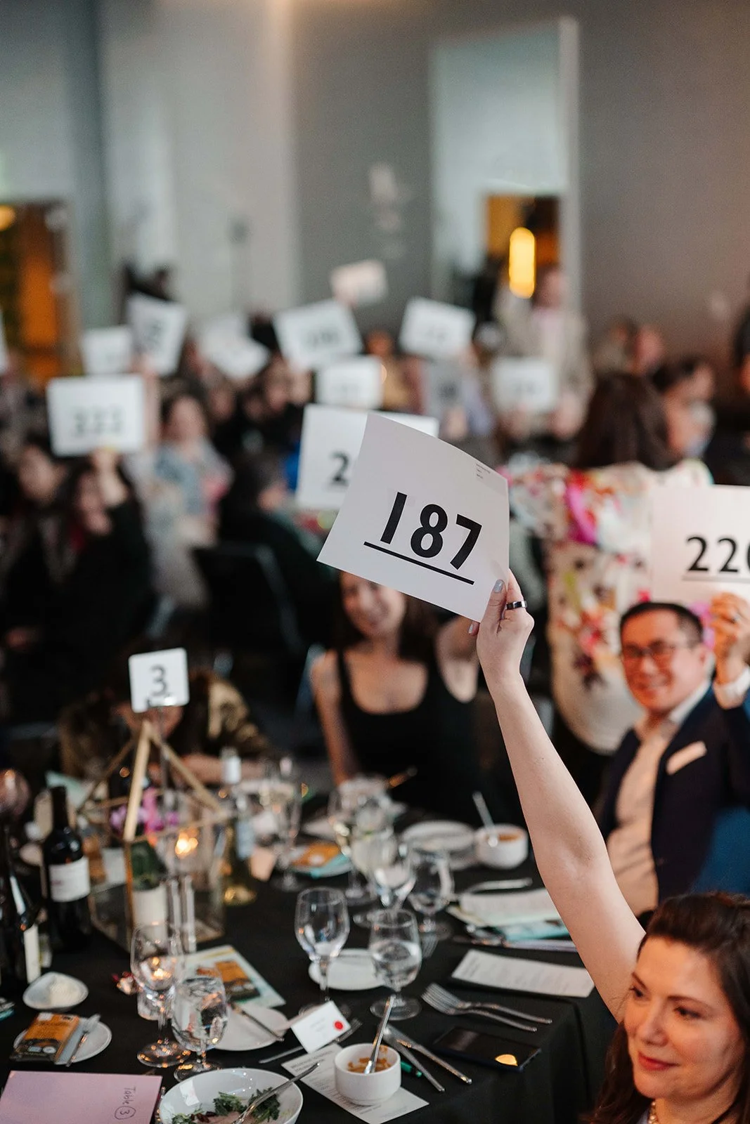 BSF - Spring for Schools 2026-168.jpg