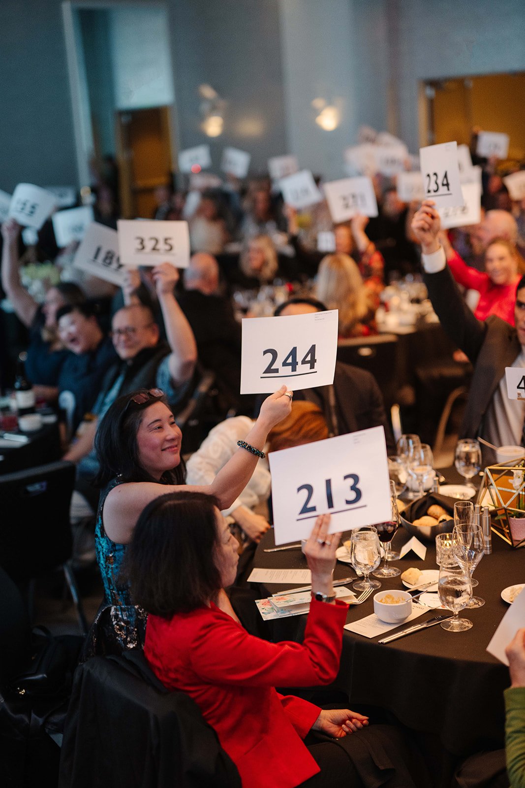 BSF - Spring for Schools 2026-166.jpg