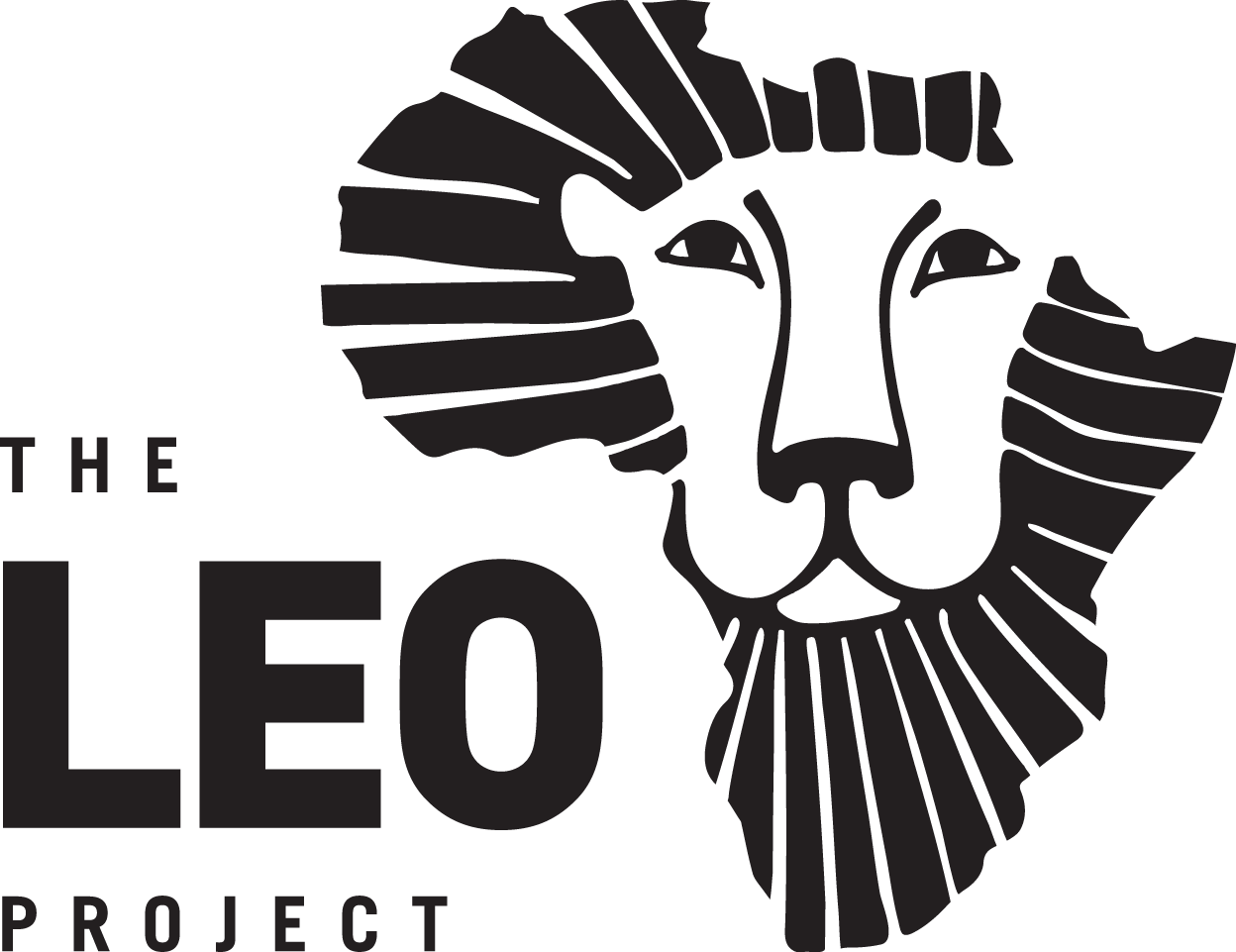 LEO PROJECT