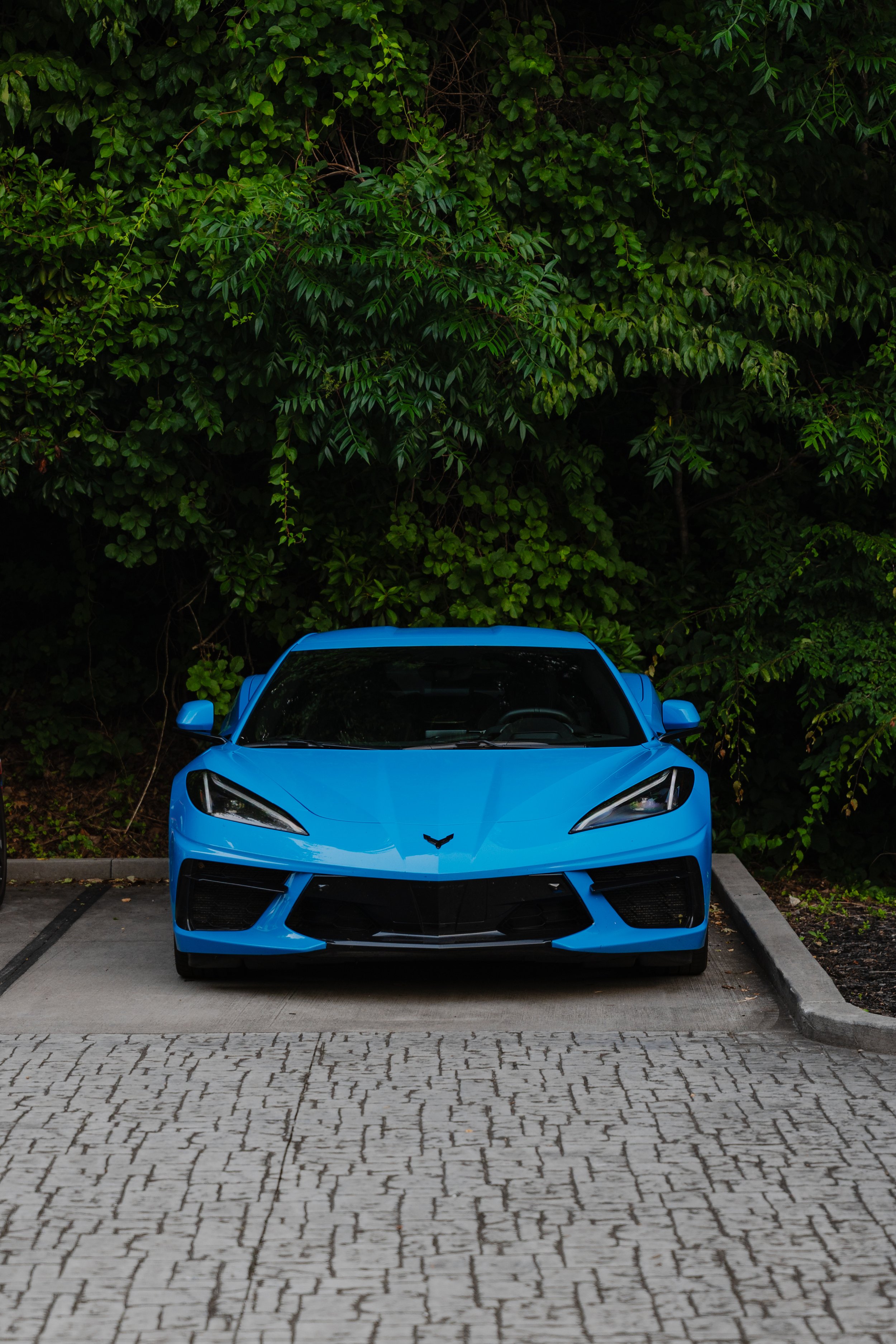 Tail-of-the-Dragon-140.jpg