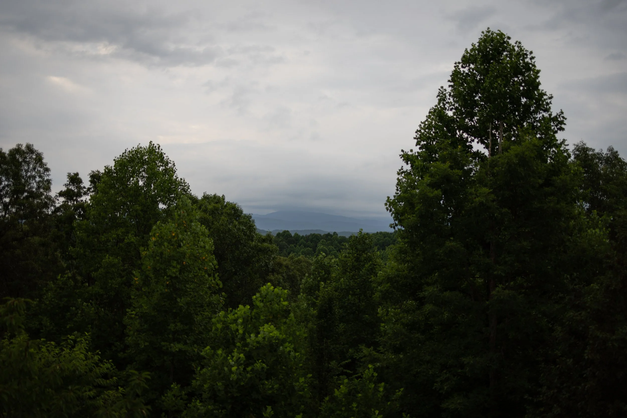 IMG_9394.jpg