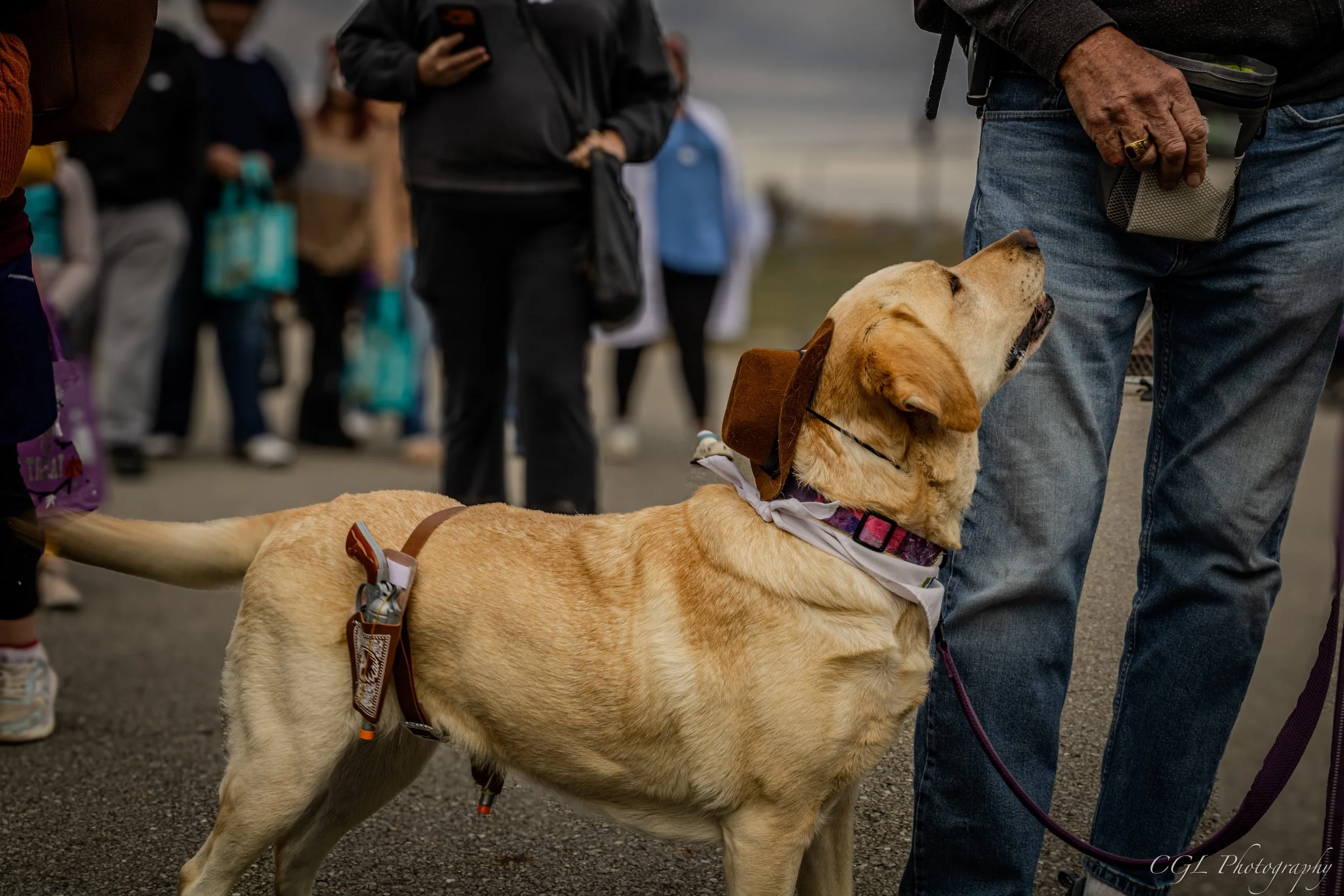 polish_save (11).png