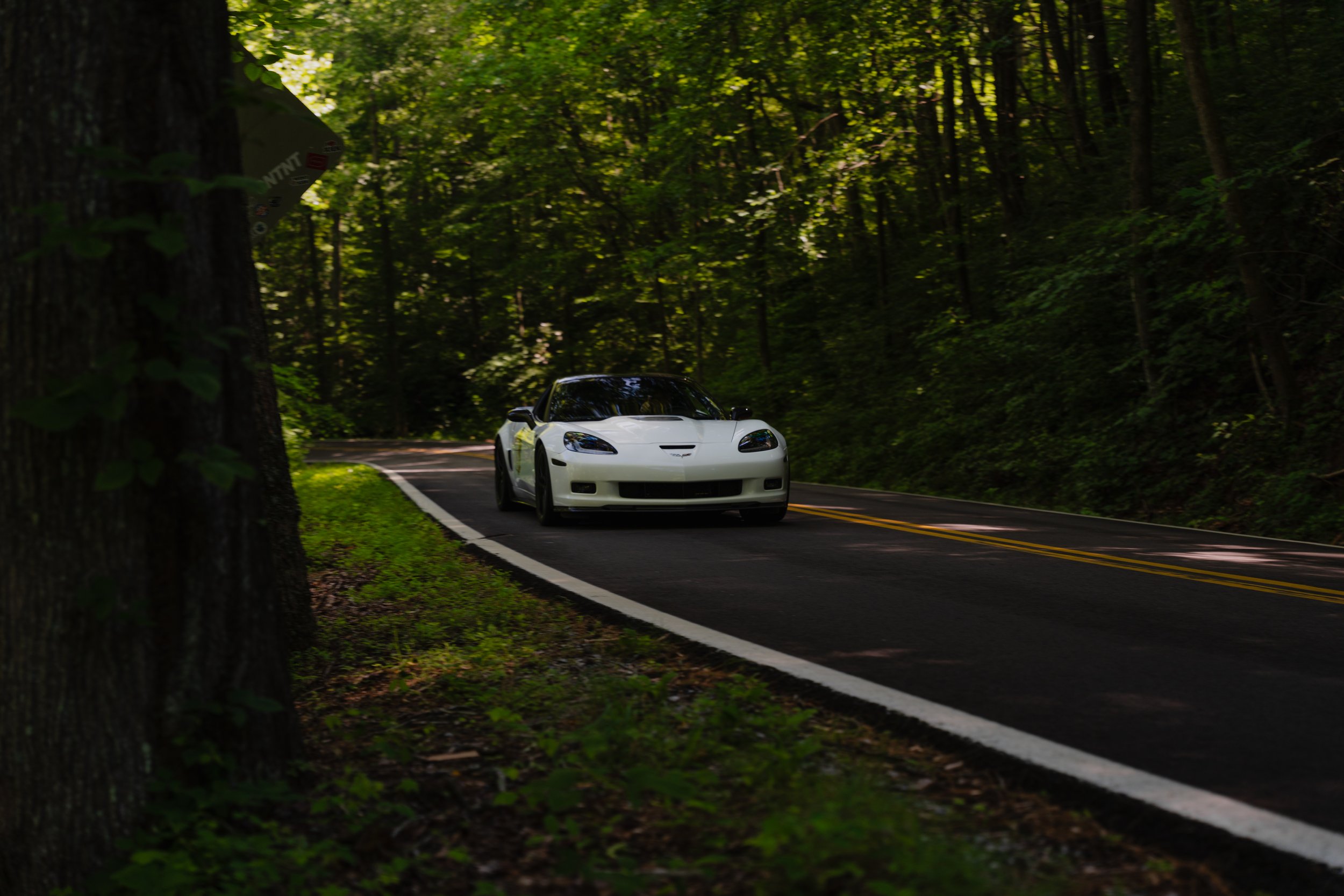 Tail-of-the-Dragon-199.jpg