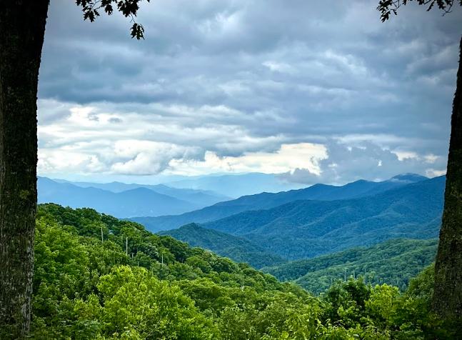 Screenshot 2023-07-06 4.35.10 PM.png