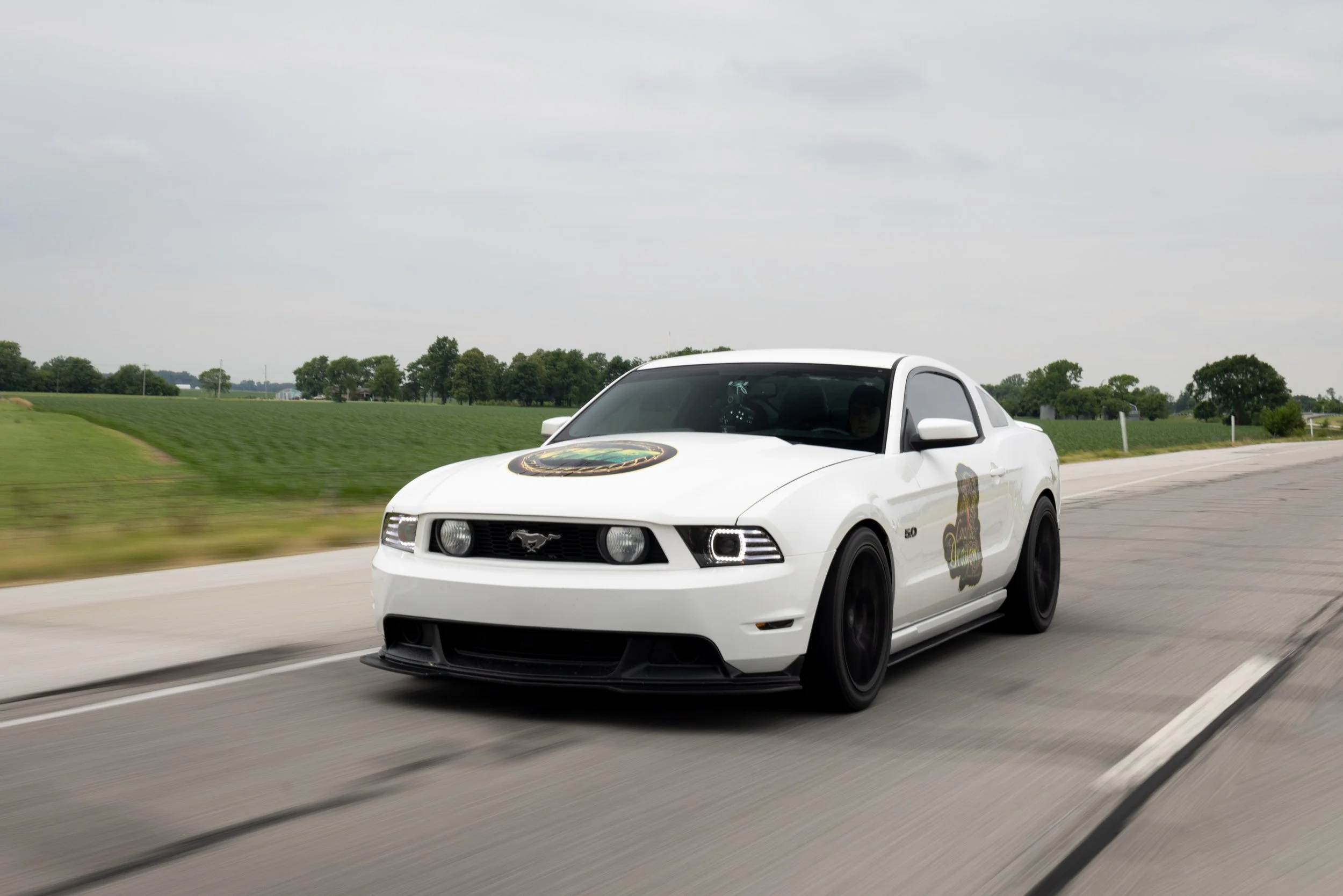 IMG_8329-Edit.jpg