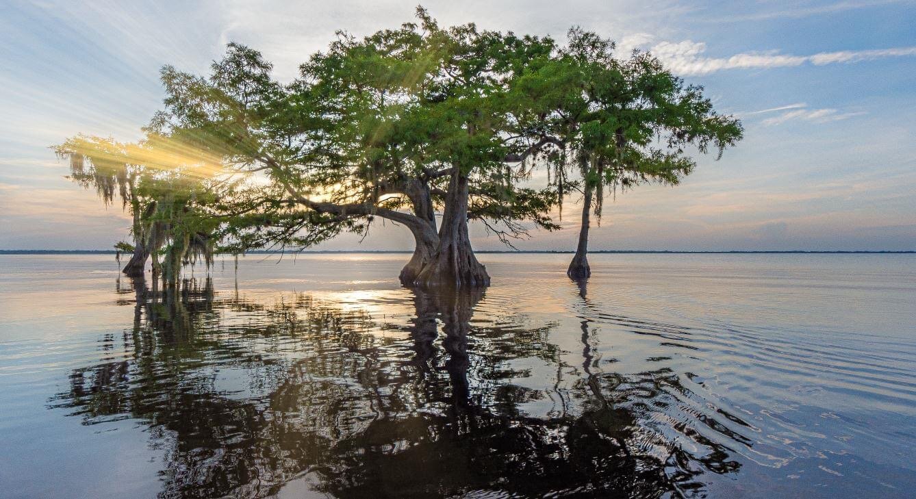 Blue Cypress Lake.jpeg