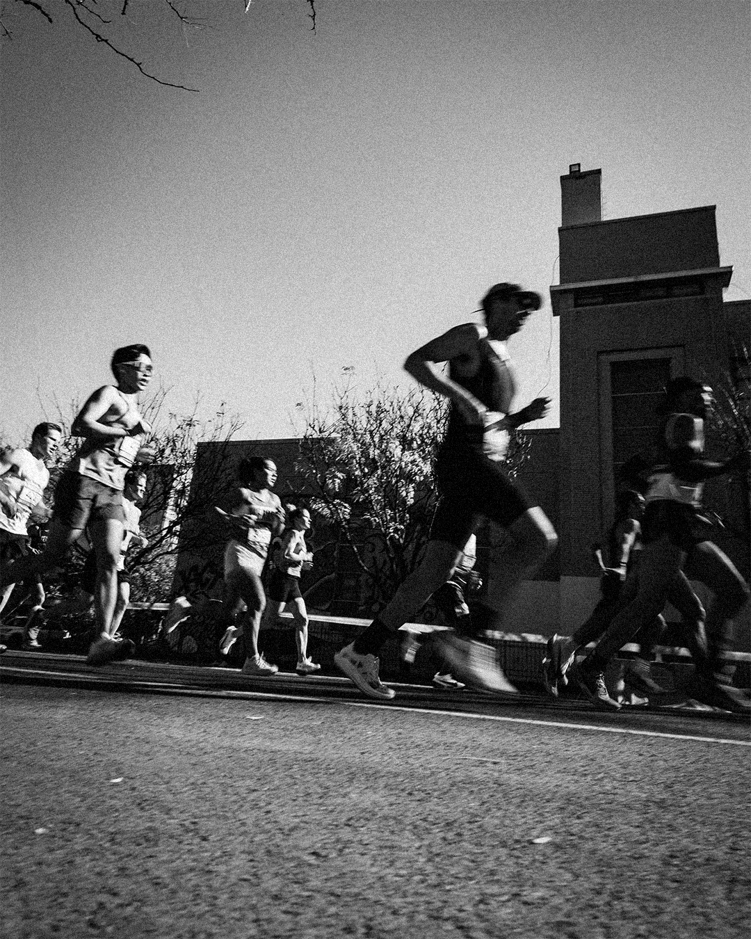 NYC Marathon 11.5.png