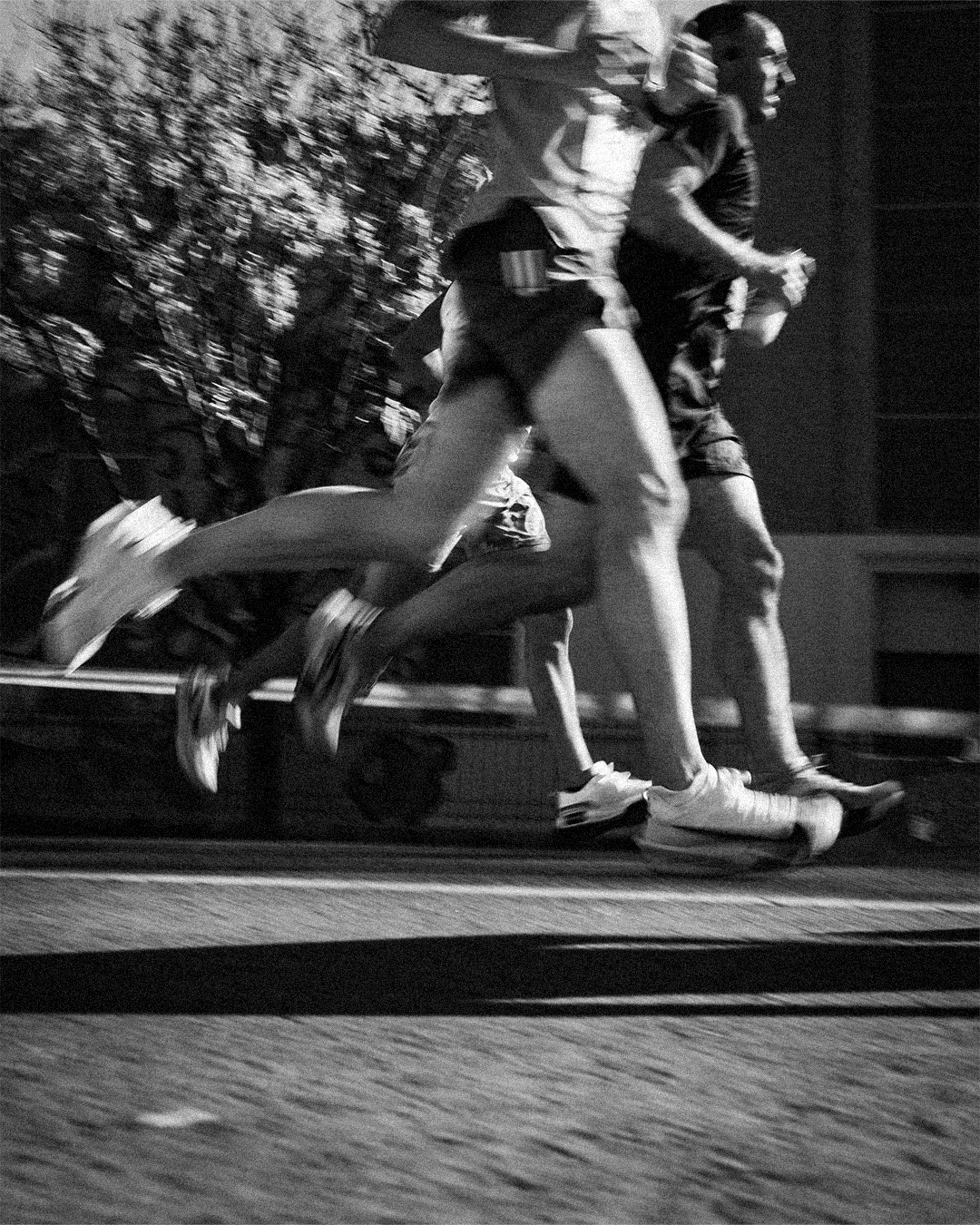 NYC Marathon 12.5.png