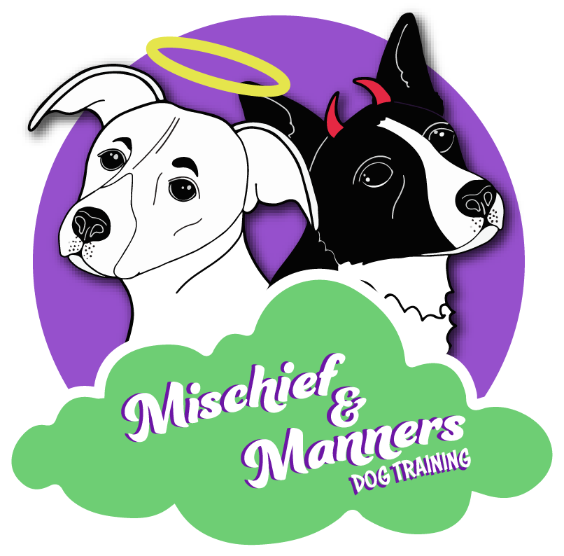 Mischief &amp; Manners Dog Training 