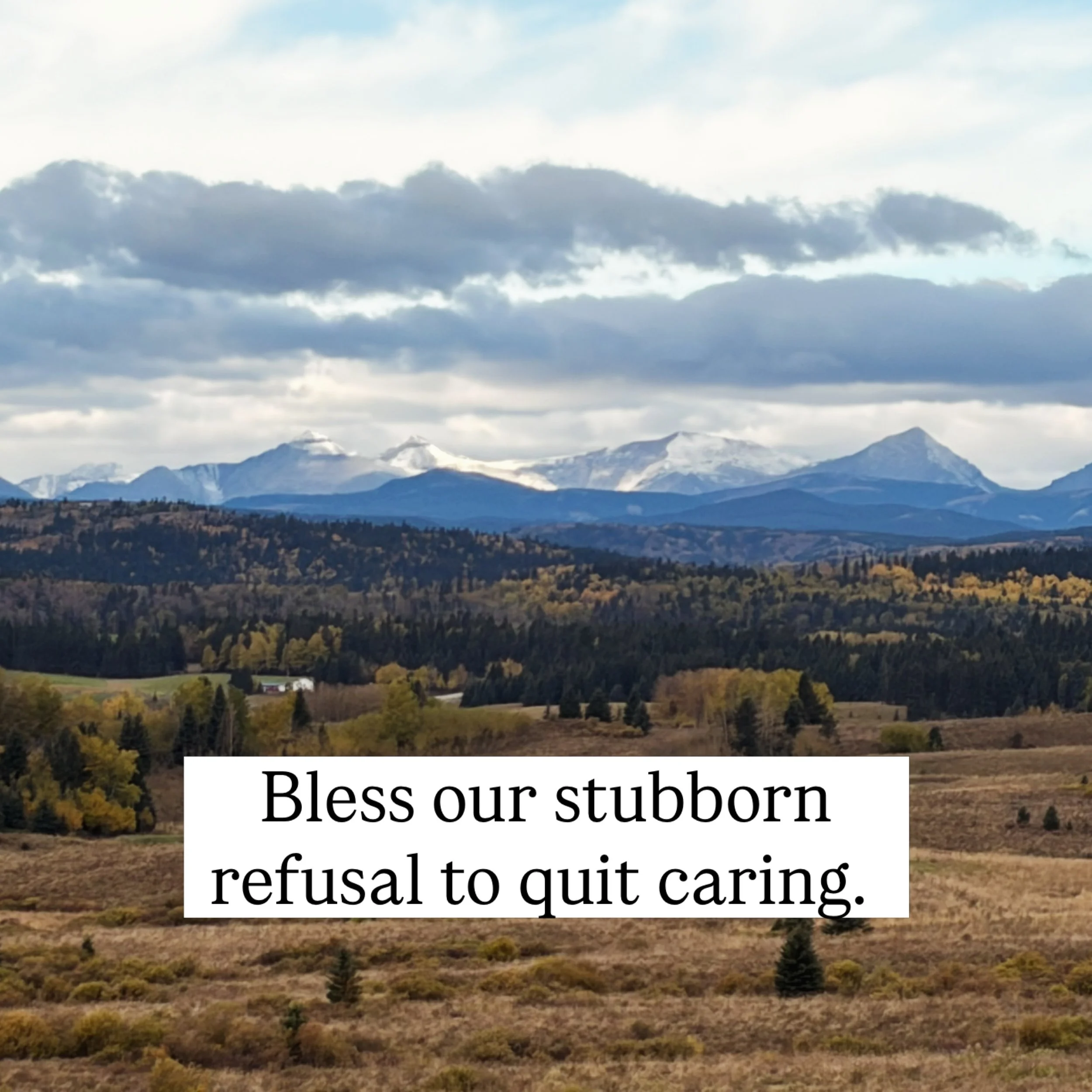 Bless our stubborn refusal to quit caring. 
Bless our unreasonable hopes, our tenacious refusals
to cave to the powers and principalities of our age,
Let alone to be talked out of decency and resilience,
and our faith in Love, despite evidence to the