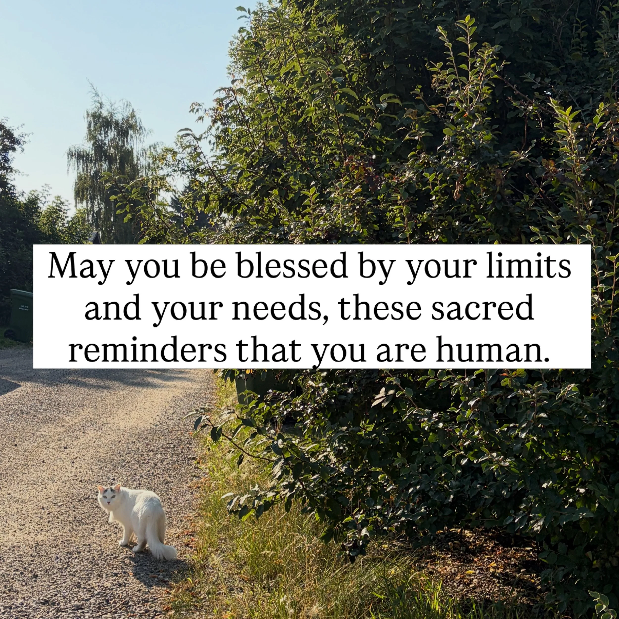 For the weekend: a reminder. May you stop confusing exhaustion and productivity with faithfulness. May you remember that your body is not an inconvenience to spirituality but, as Barbara Brown Taylor reminds us, your &ldquo;soul&rsquo;s address.&rdqu