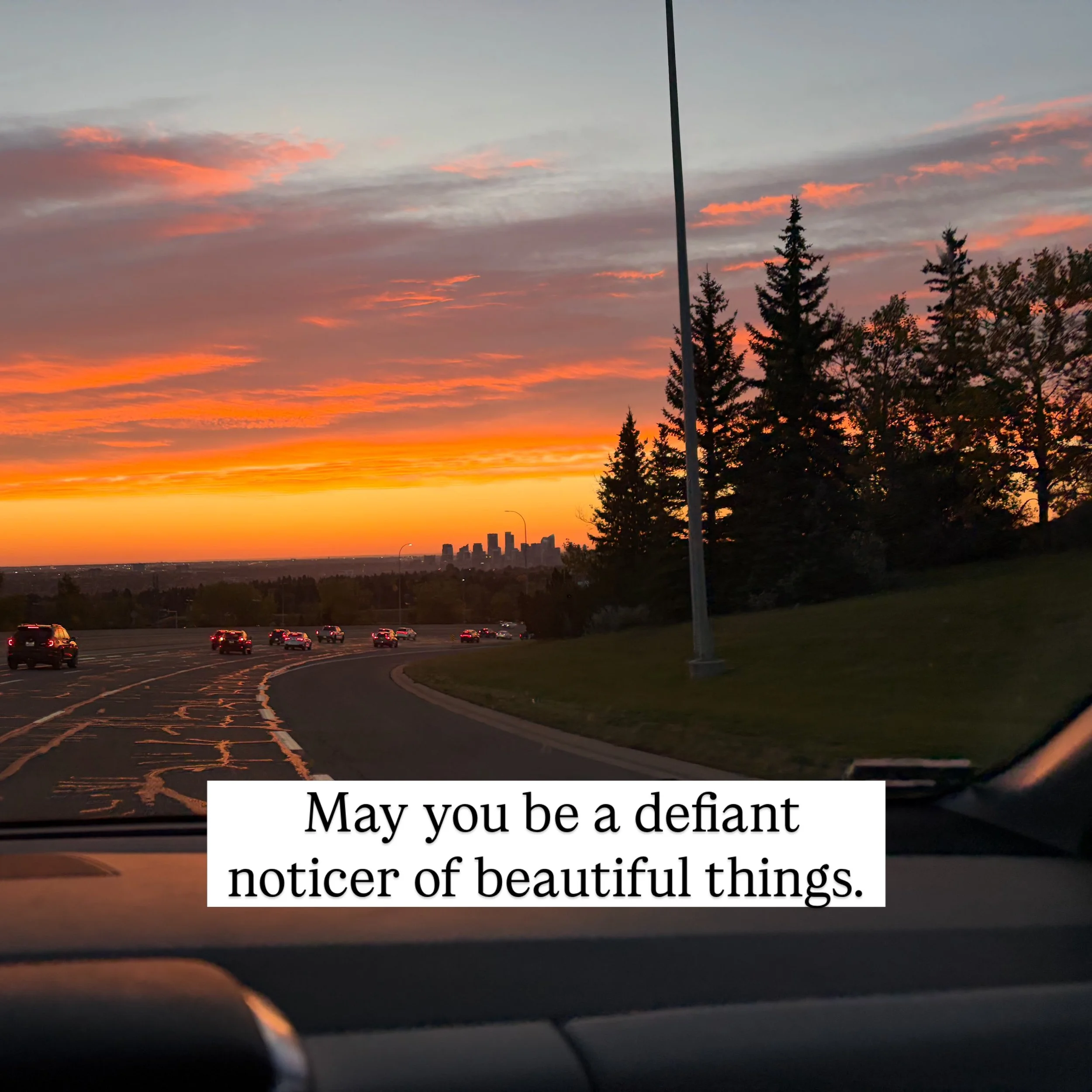 May your delight become a small rebellion against the powers and principalities that benefit from numbness and exhaustion. May delight keep your imagination alive enough to believe that another world is possible and make you brave enough to help buil