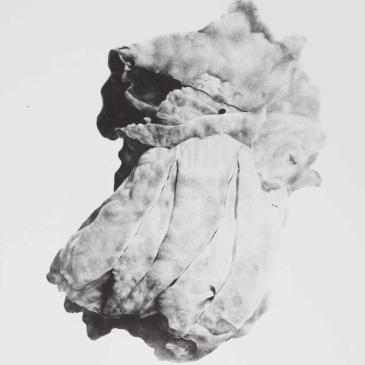 Balanomorpha I
