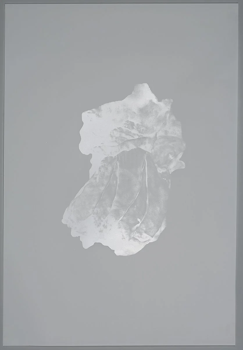 BalanomorphaI_VarIX_X.jpg