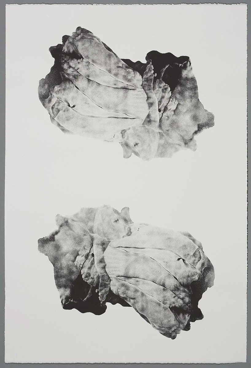 BalanomorphaI_VarVIII_X.jpg