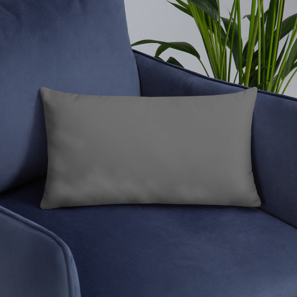 all-over-print-basic-pillow-20x12-back-lifestyle-6-616d1fd9b64f6.jpg