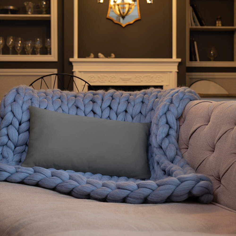 all-over-print-basic-pillow-20x12-back-lifestyle-3-616d24ece05a7.jpg