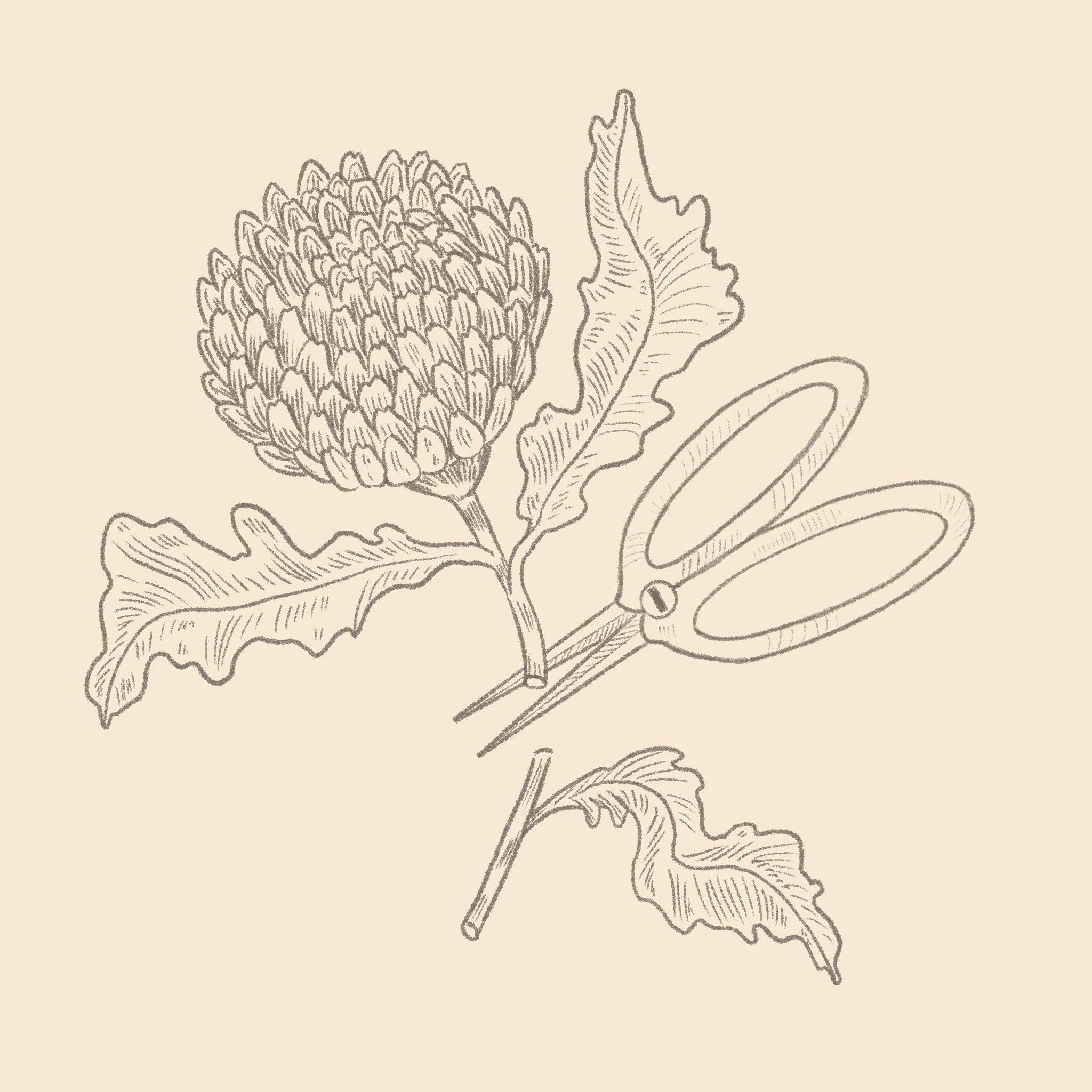Untitled_Artwork 4.png