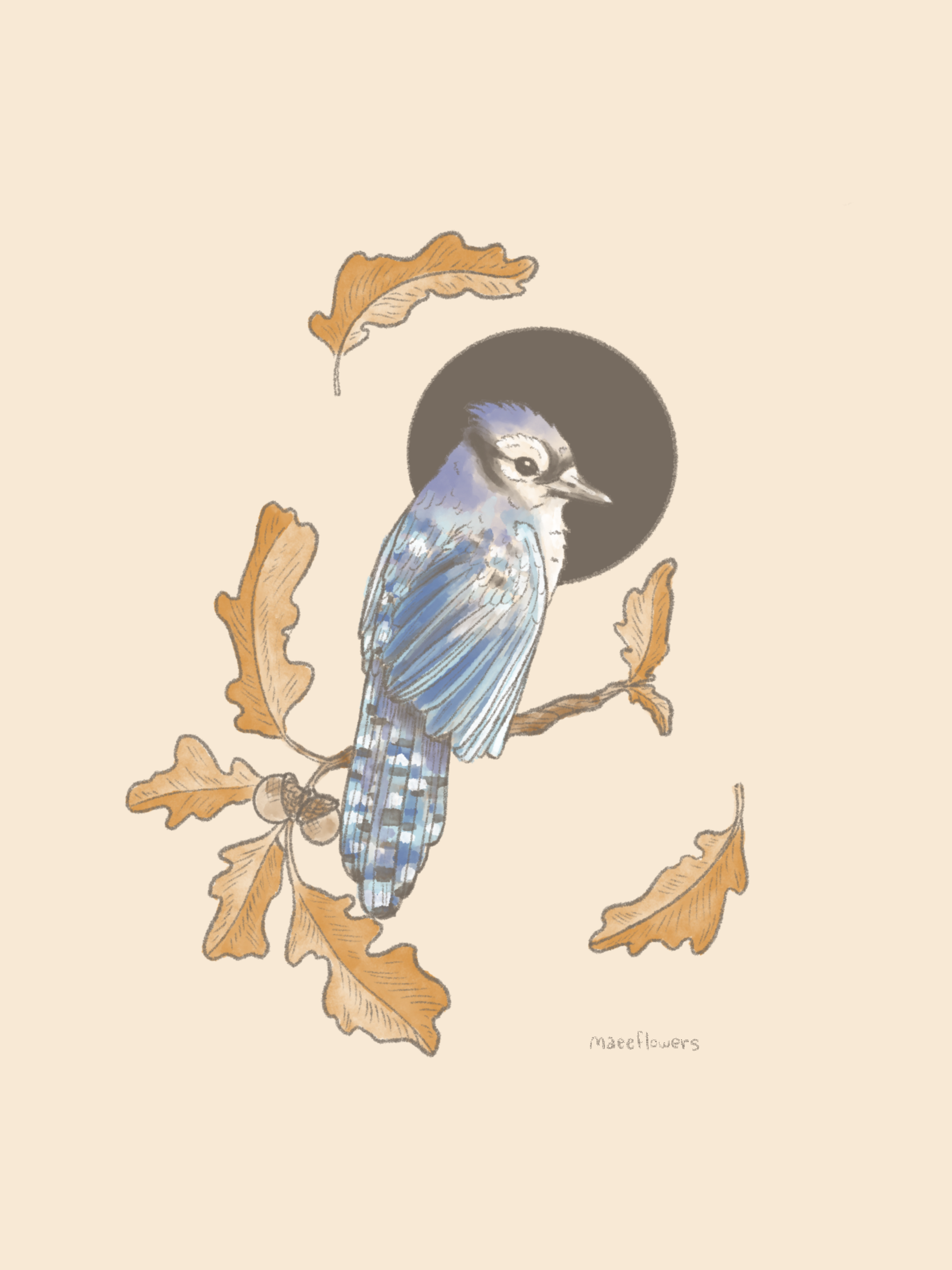 Untitled_Artwork 6.png
