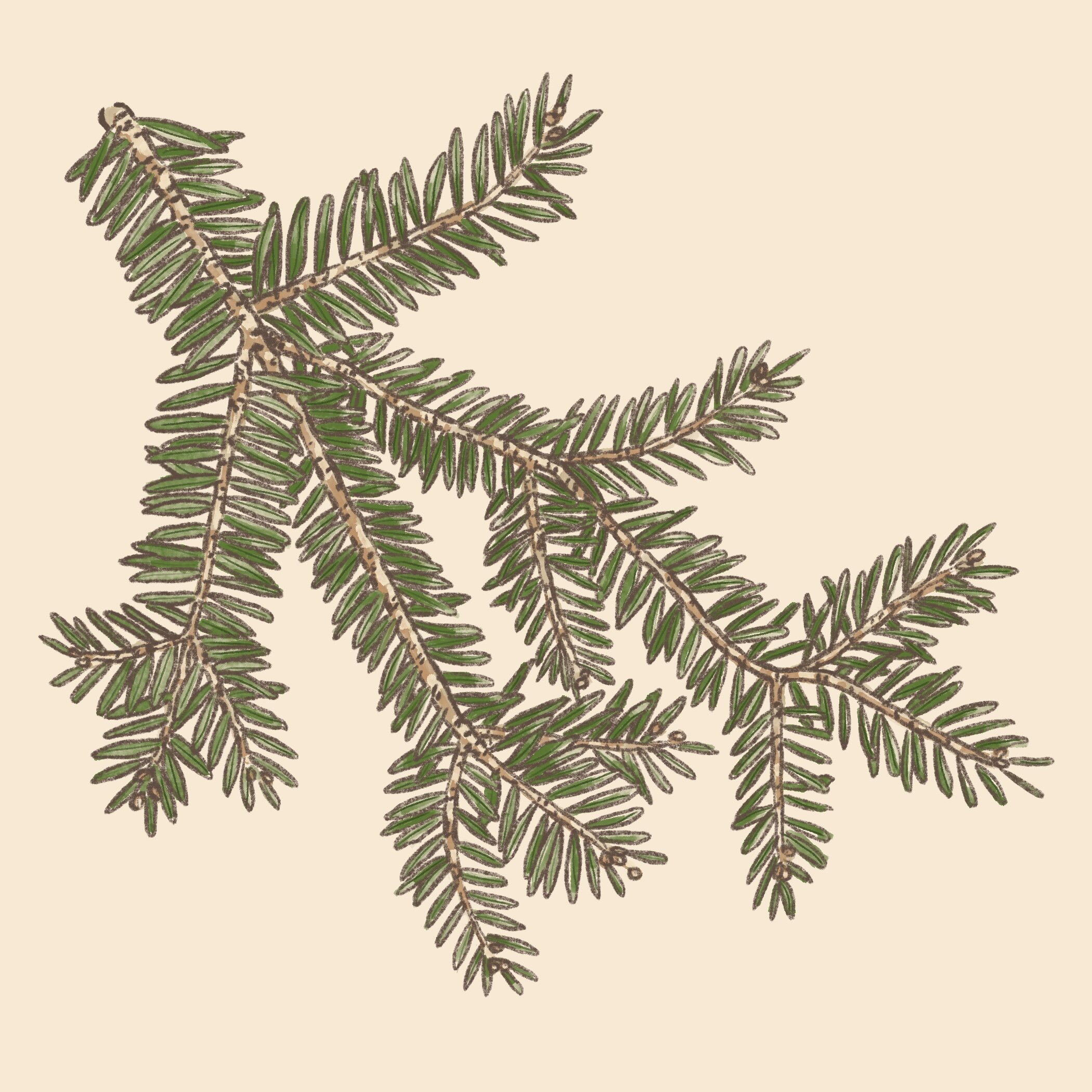 Untitled_Artwork 63.jpg