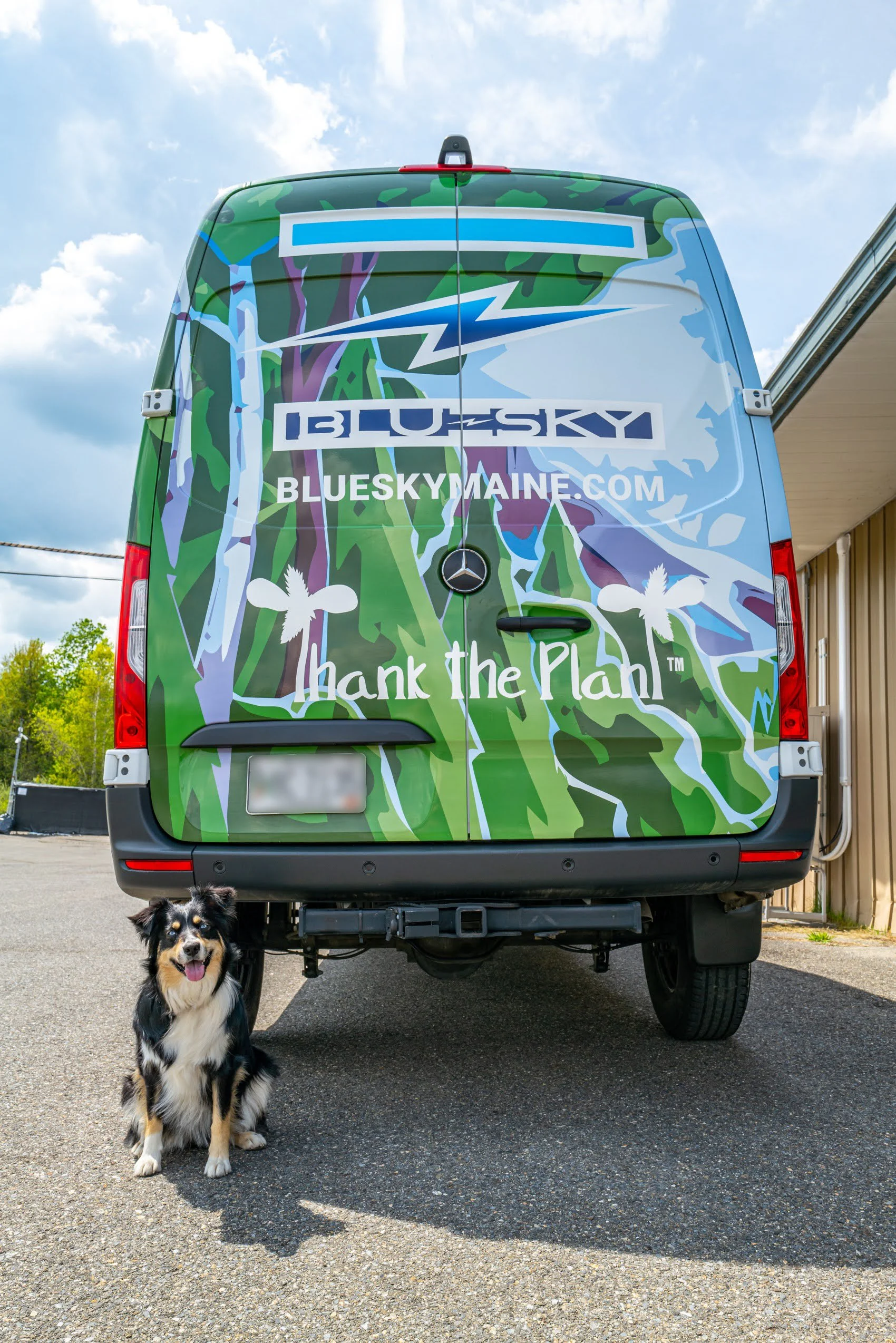 BlueSkyVan-31.jpg