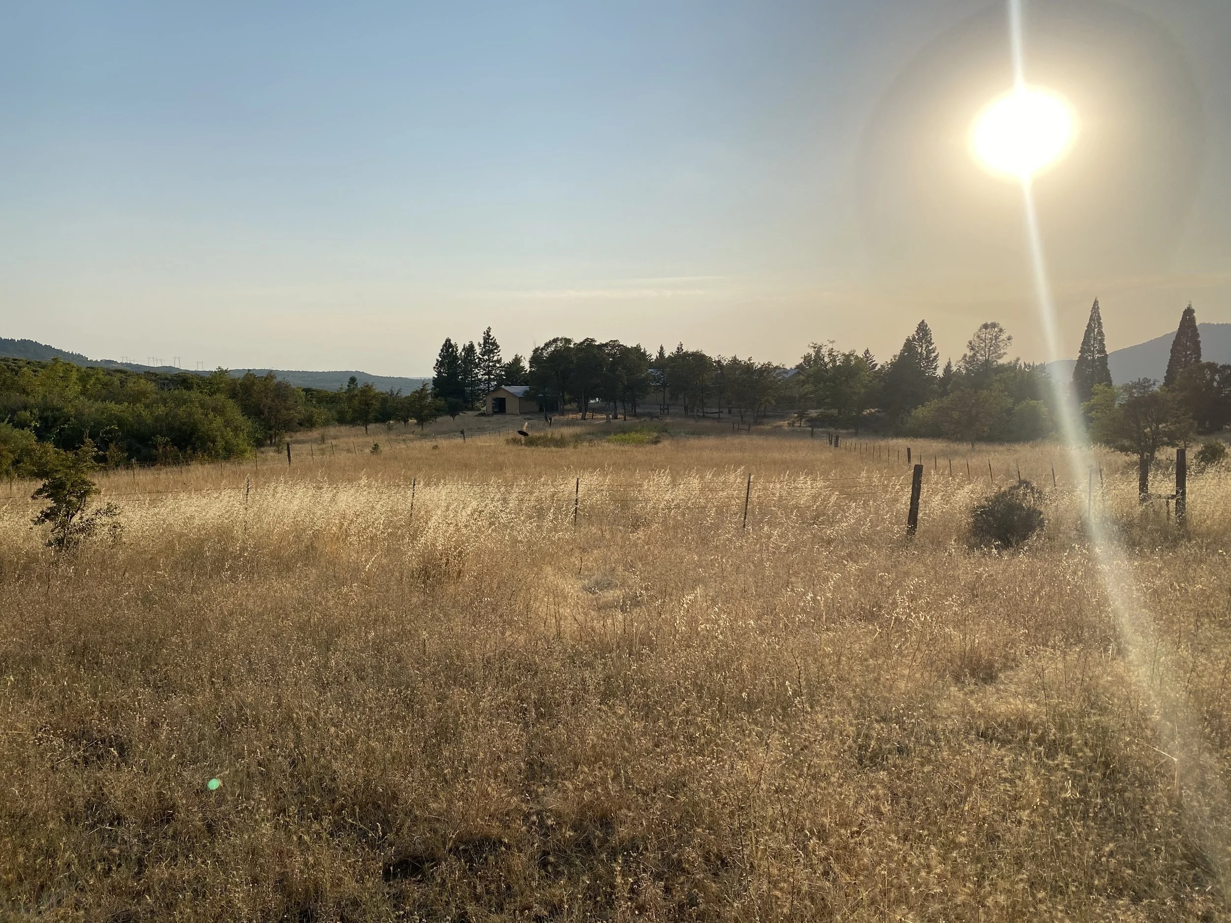 IMG_4066.jpeg