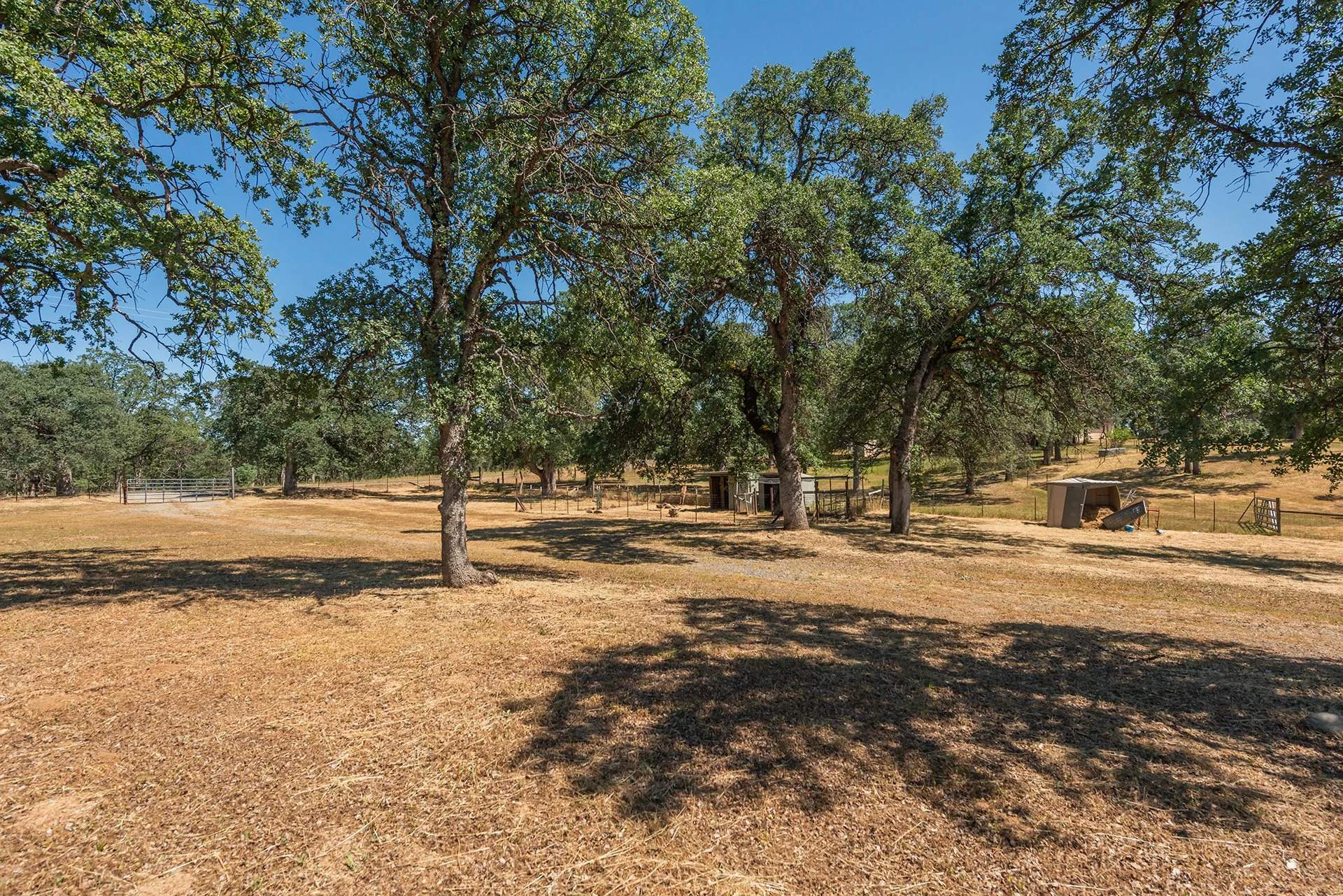 DSC_5054.jpg
