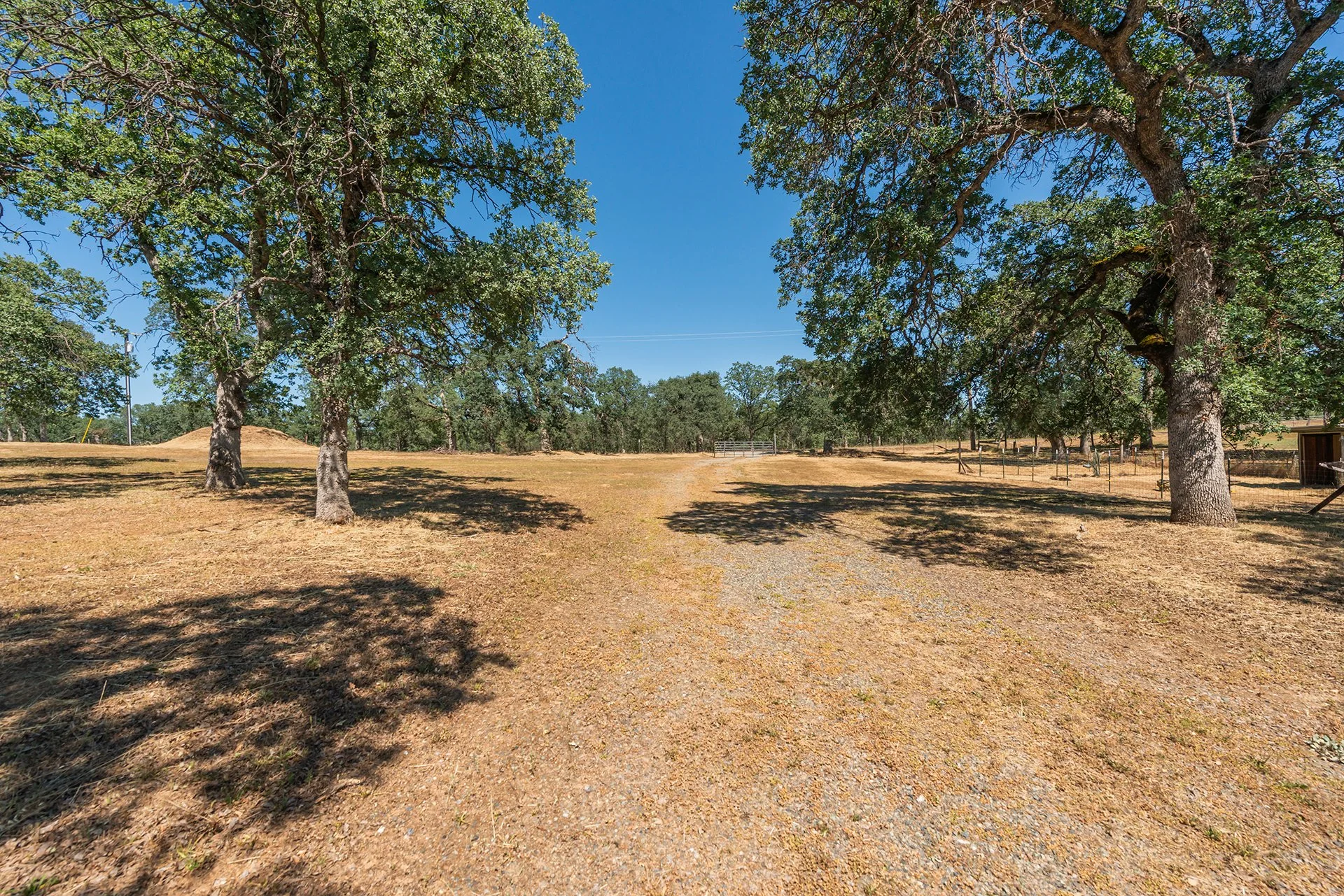 DSC_5056.jpg