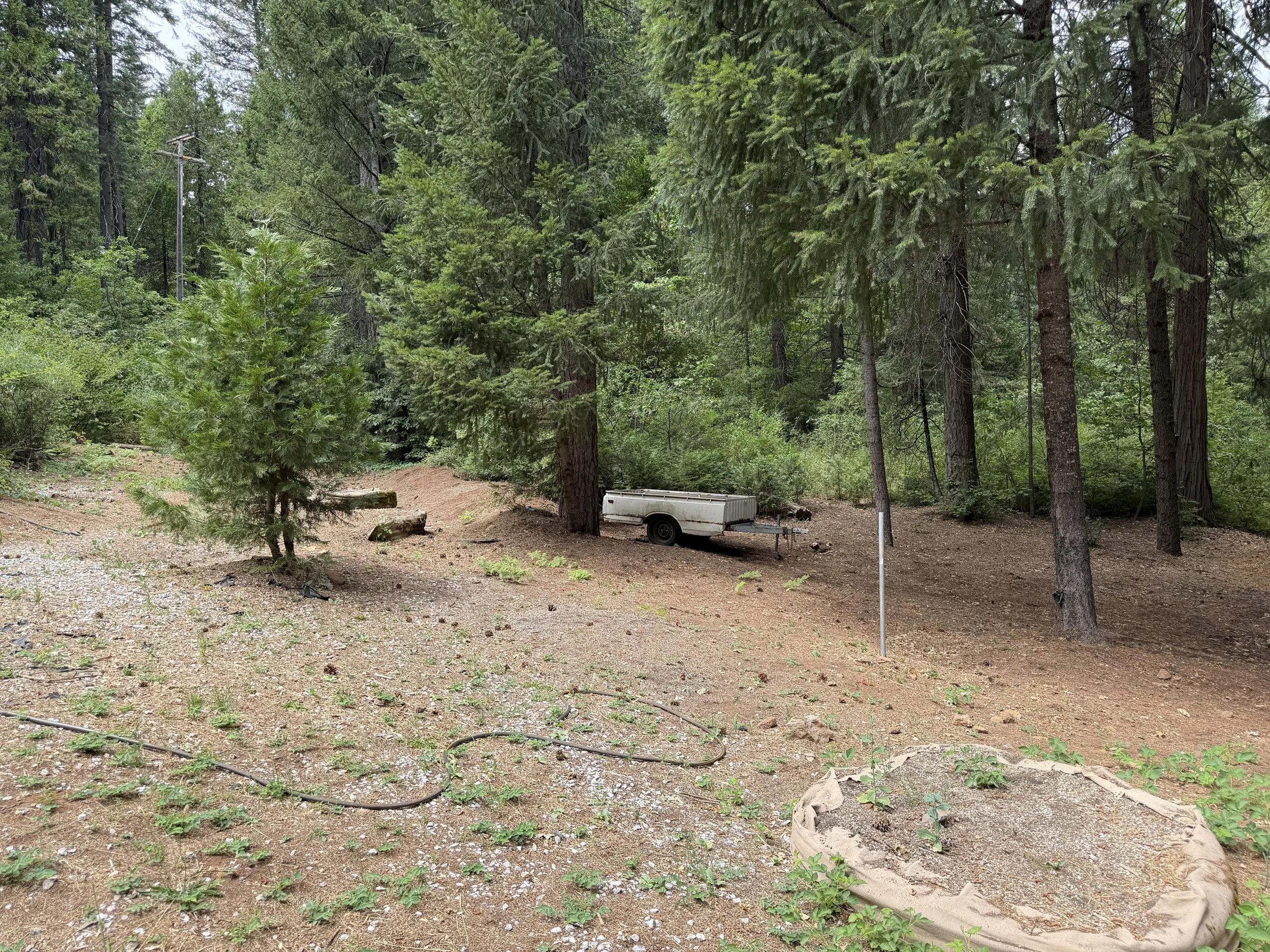 IMG_0396.jpeg
