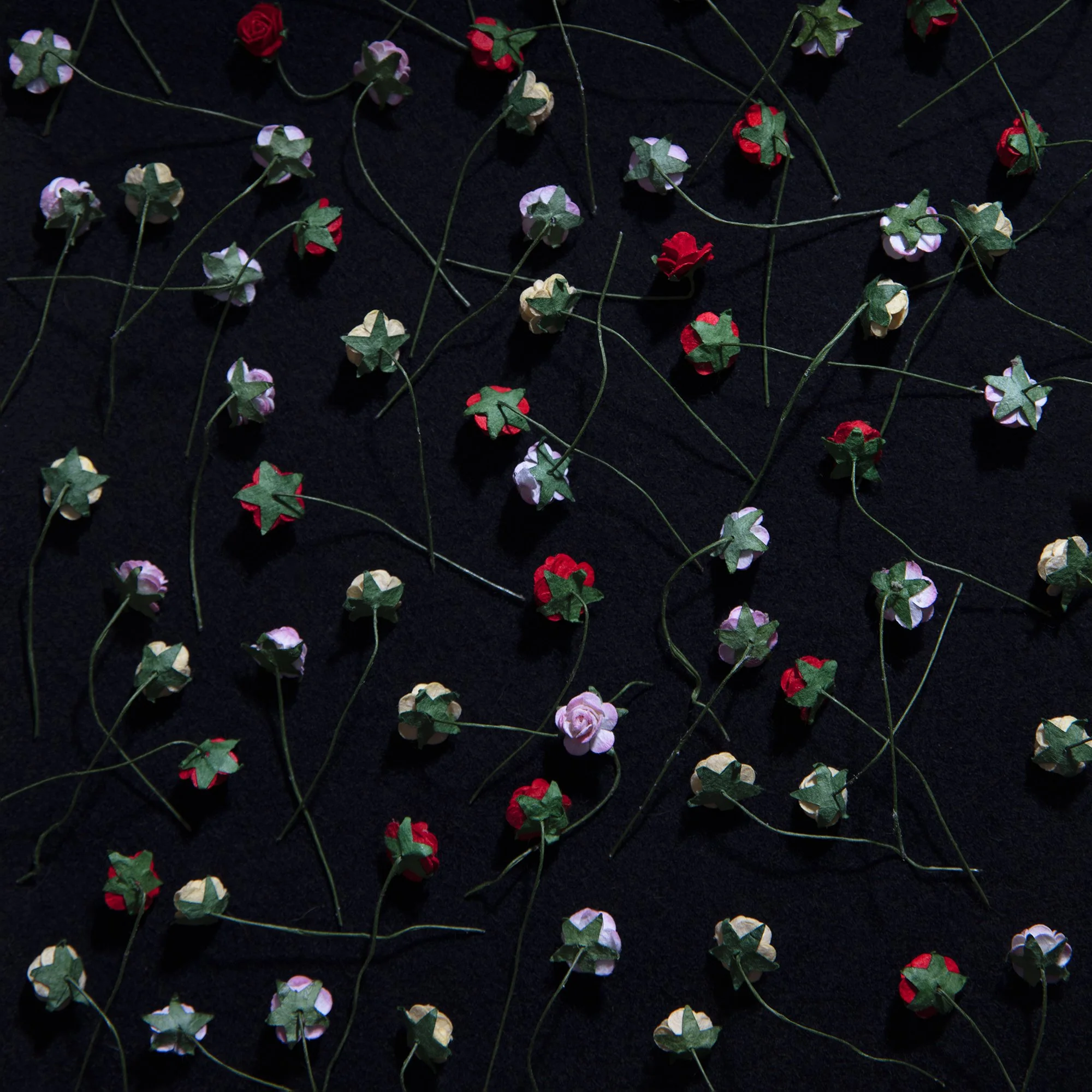 Various small artificial flower pins with green leaves and colored petals (red, white, yellow) scattered on a black background.