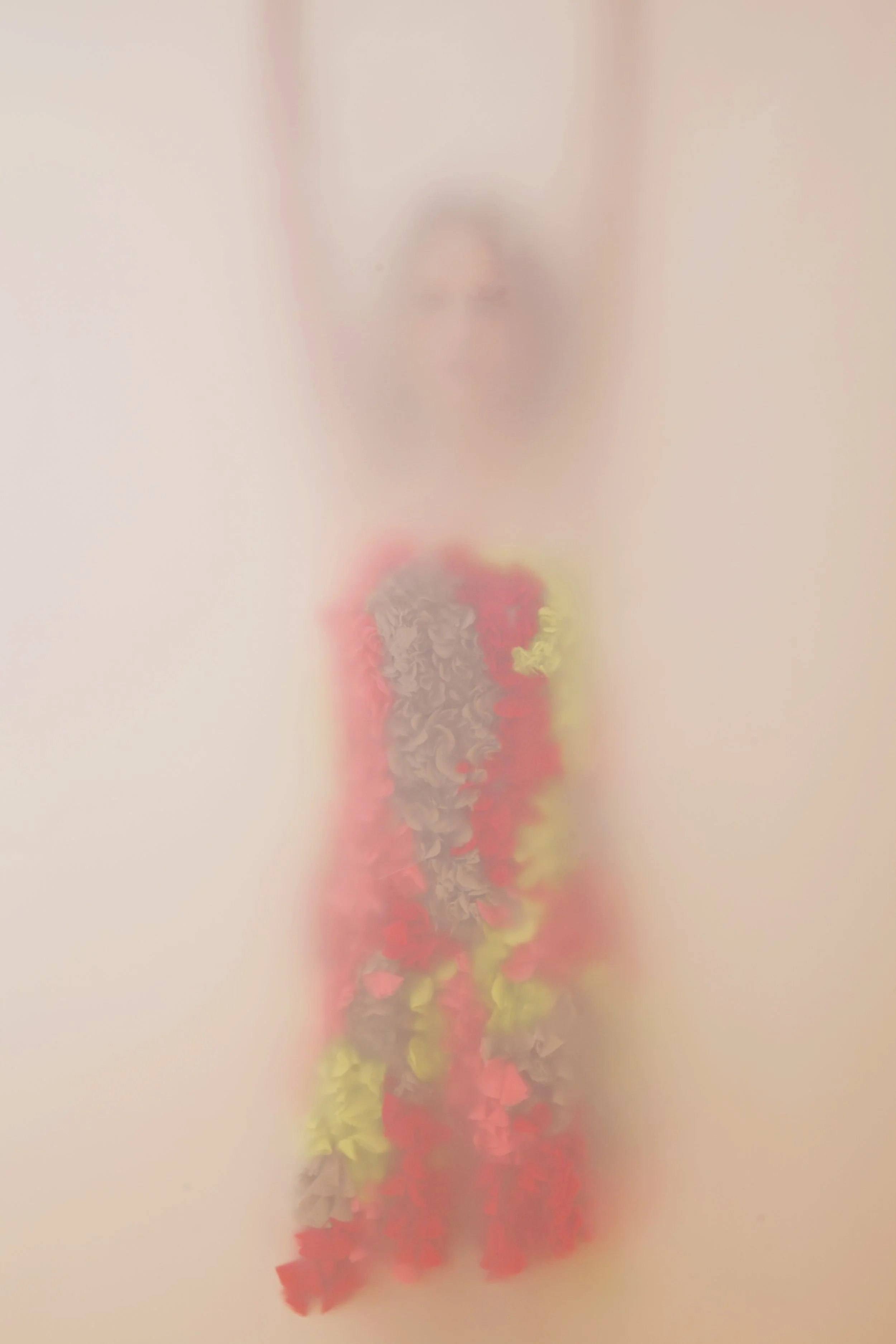 Blurred image of an individual with a floral arrangement or large bouquet in front of them, obscuring details of their face and surroundings.
