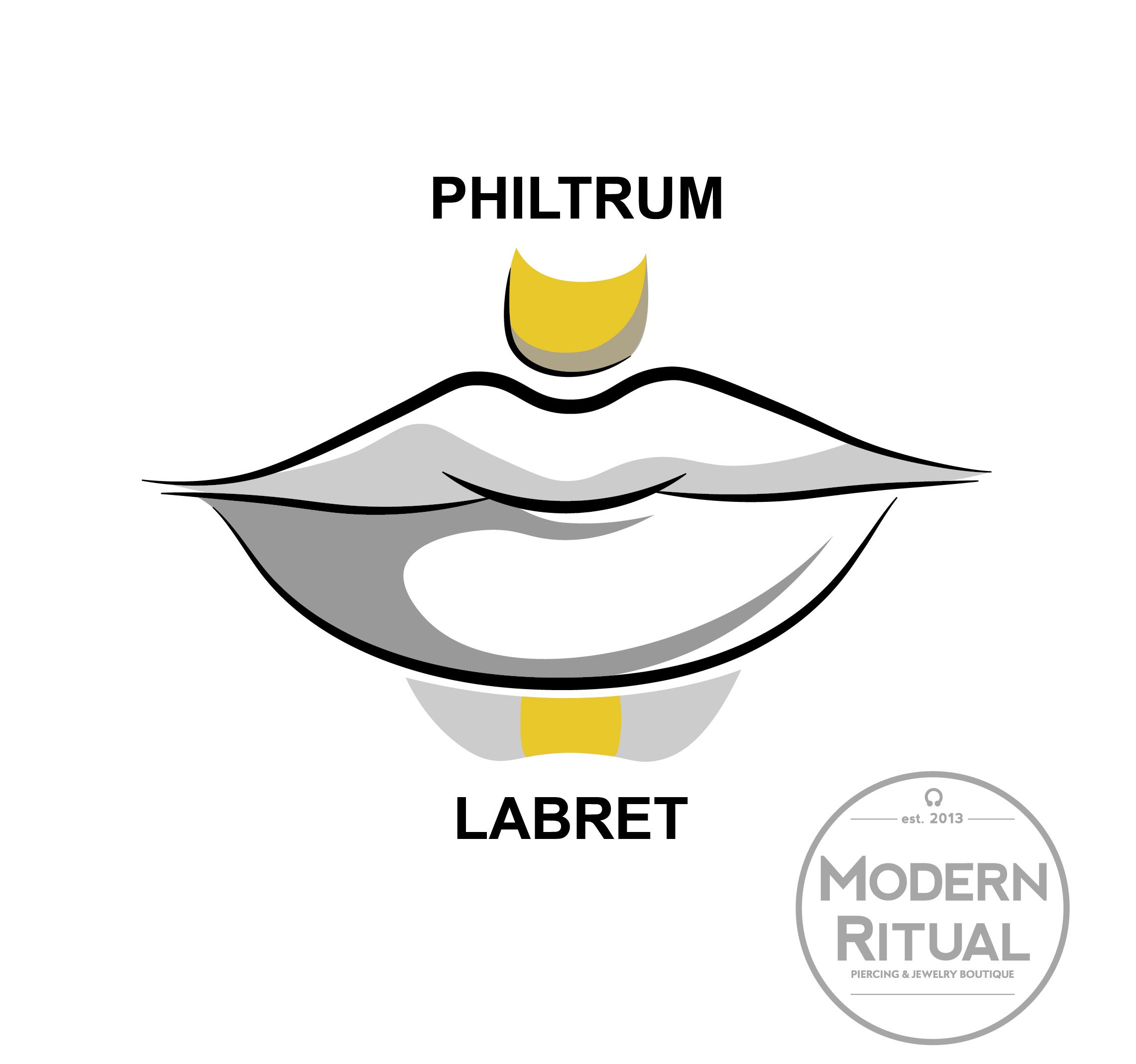 Mouth Illustration featuring the Labret and Philtrum piercing areas highlighted in yellow.