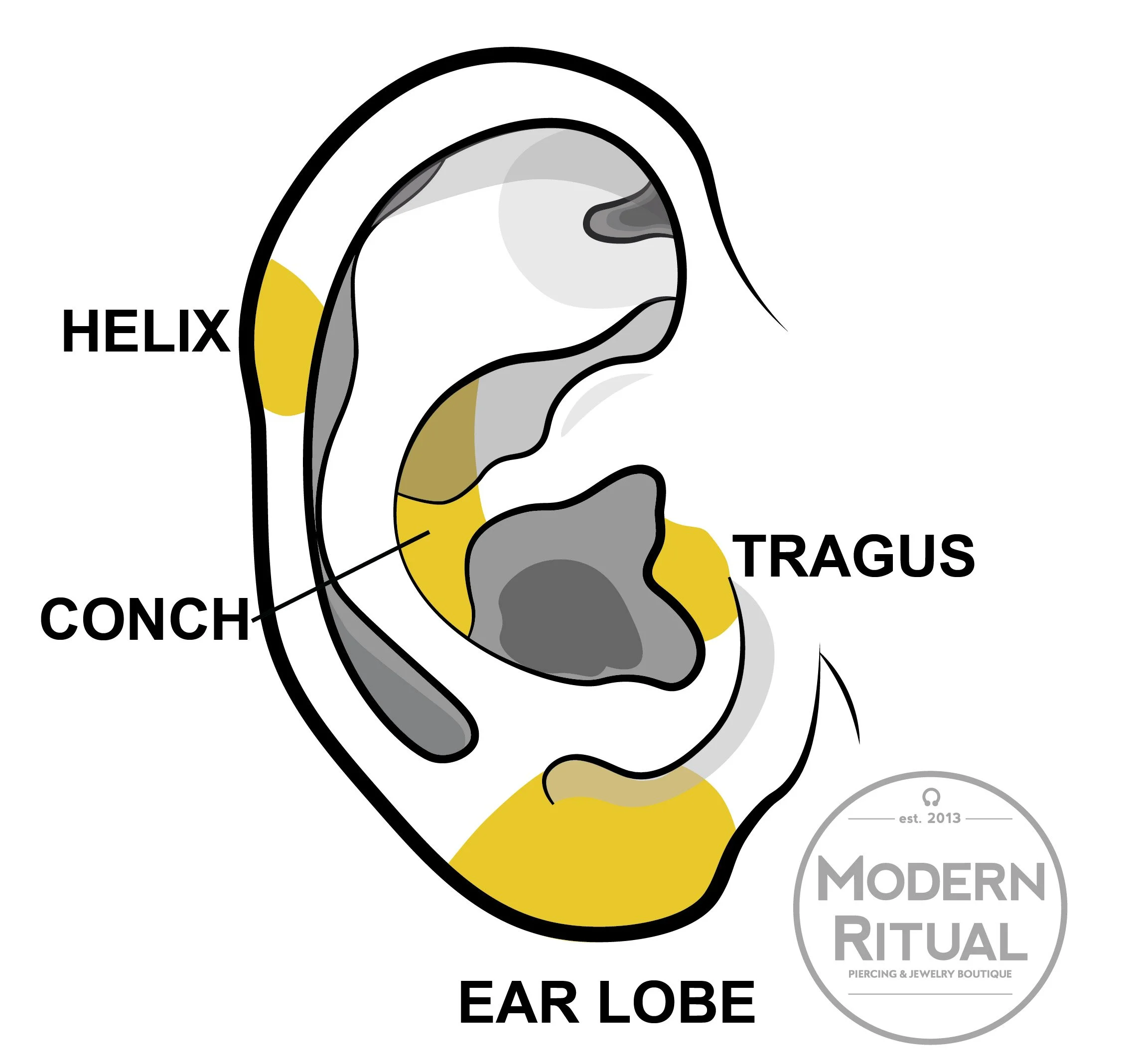 Ear Illustration featuring the Lobe, Tragus, Conch, and Helix piercing areas highlighted in yellow.