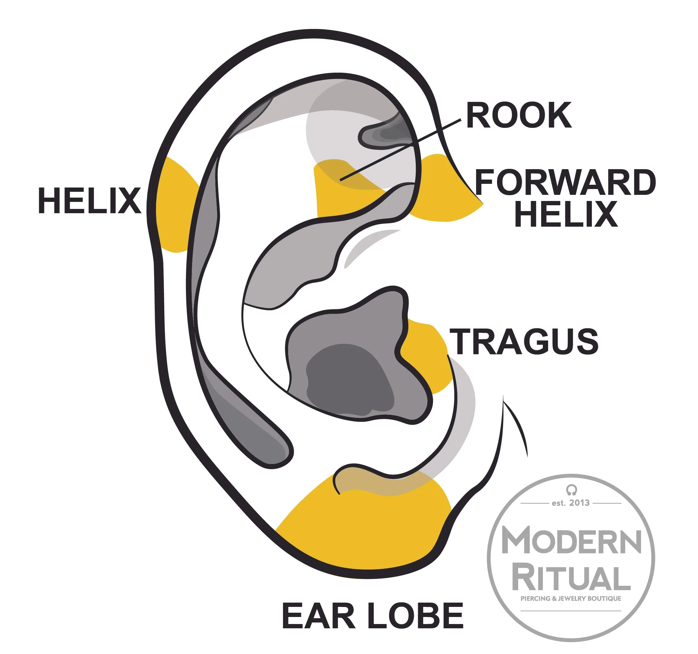 Ear Illustration featuring the Lobe, Tragus, Forward Helix, Rook, and Helix piercing areas highlighted in yellow.