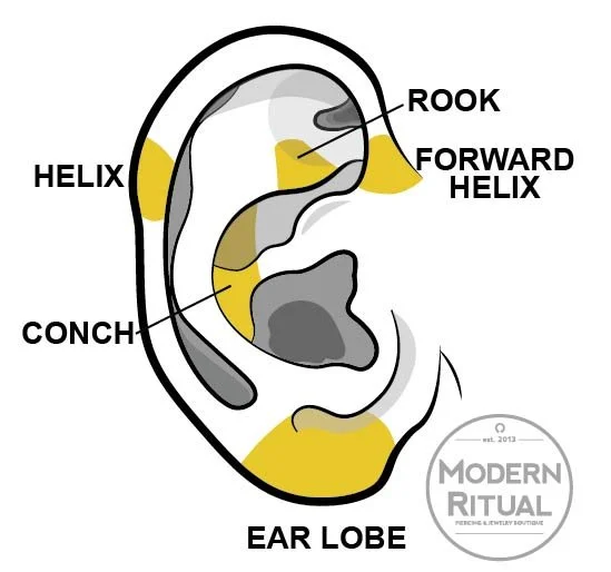 Ear Illustration featuring the Lobe, Conch, Helix, Tragus, Anti-Tragus, Rook, and Forward Helix piercings highlighted in yellow.