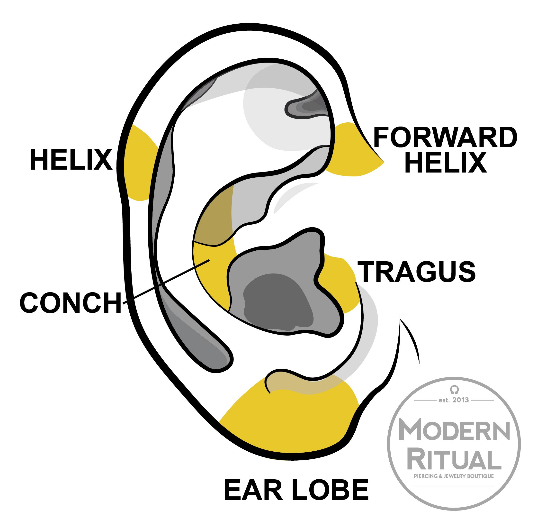 Ear Illustration featuring the Lobe, Forward Helix, Tragus, Conch, and Helix piercing areas highlighted in yellow.