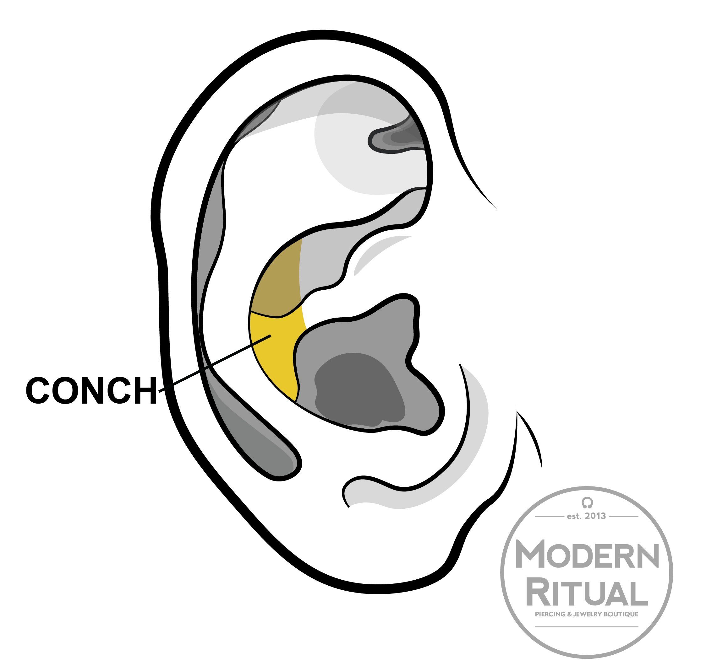 Ear Illustration featuring the Conch piercing area in yellow.