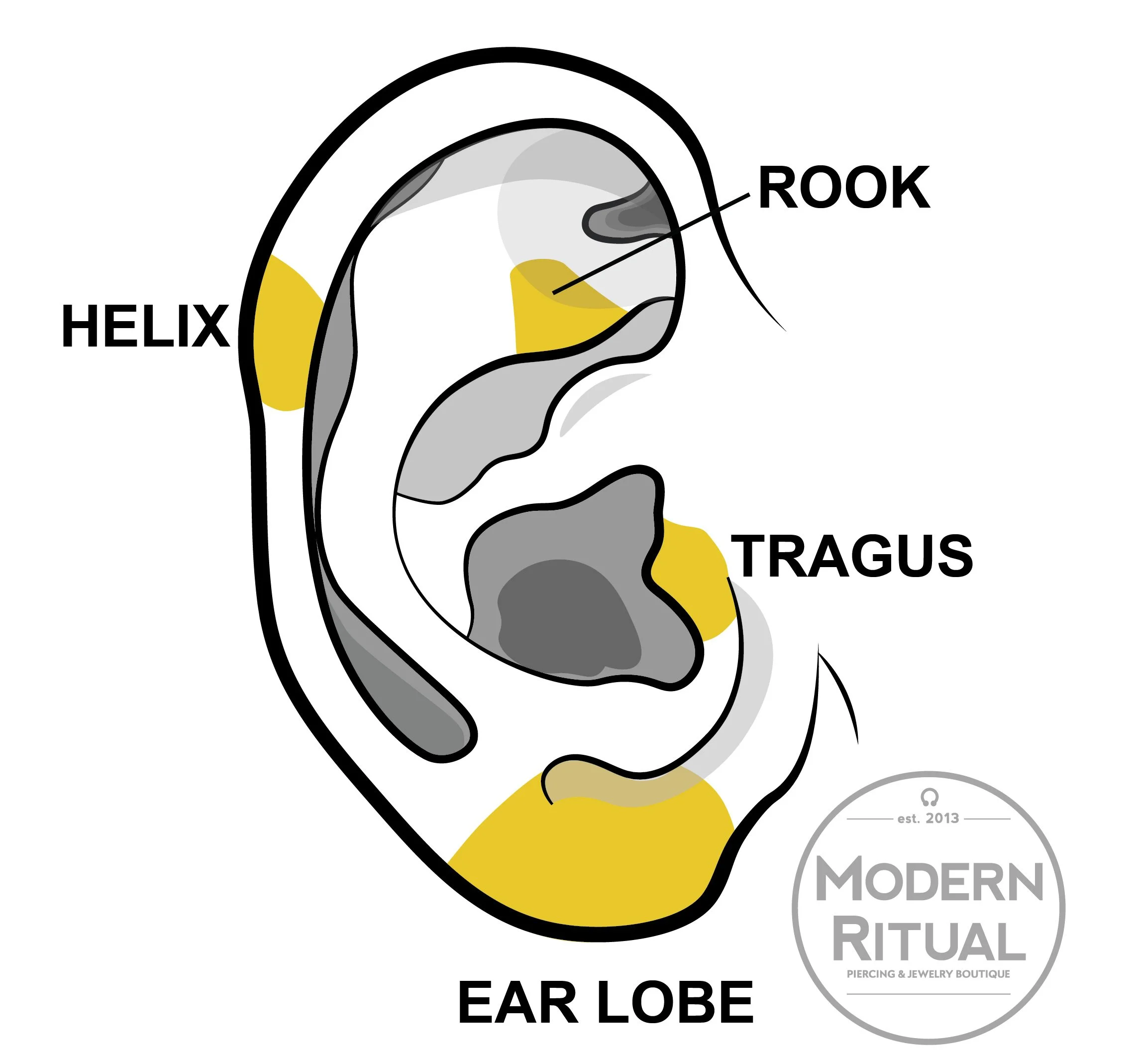 Ear Illustration featuring the Rook, Tragus, Lobe and Helix piercing areas in yellow.