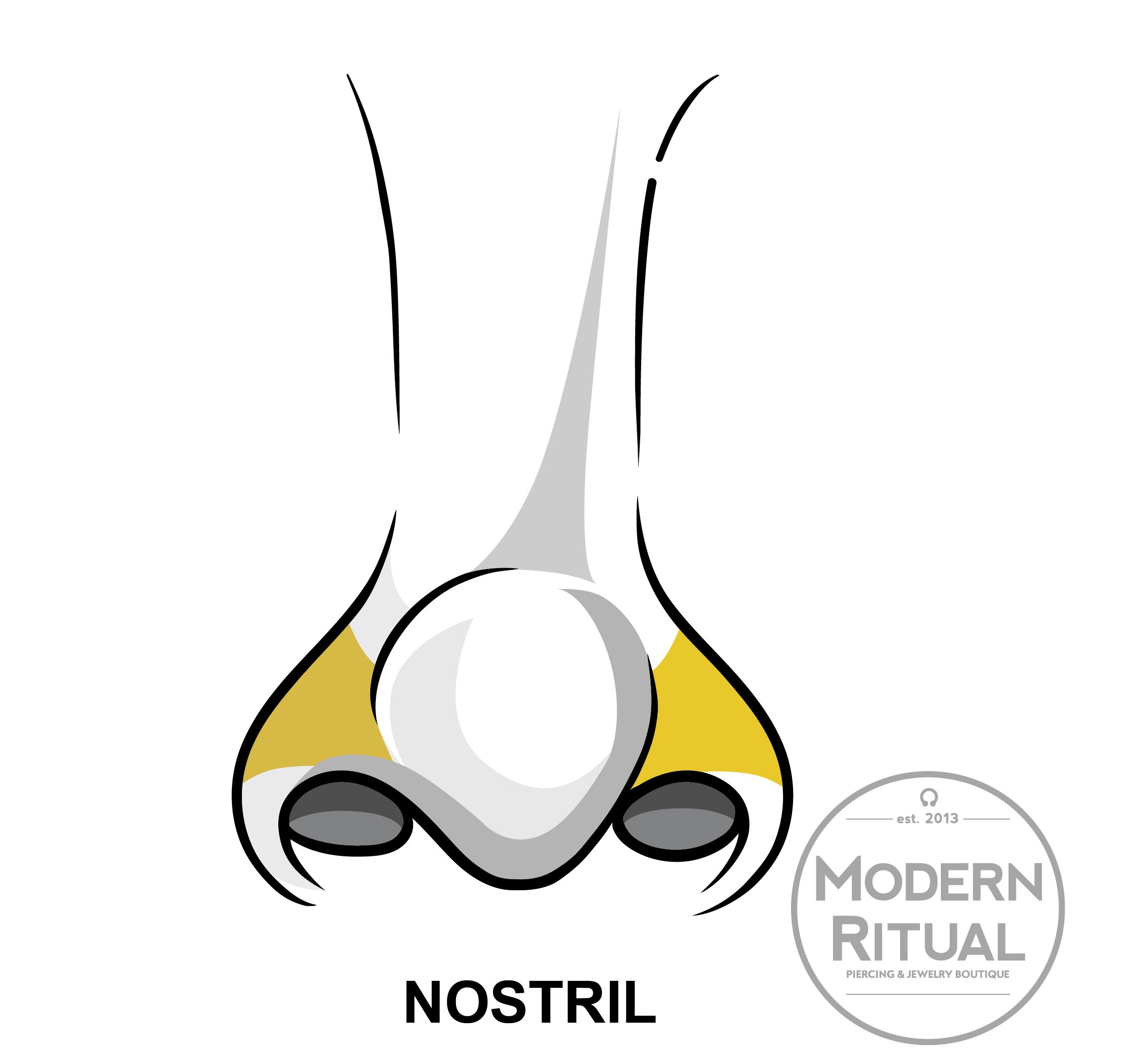 Nose Illustration featuring the Nostril piercing area in yellow.