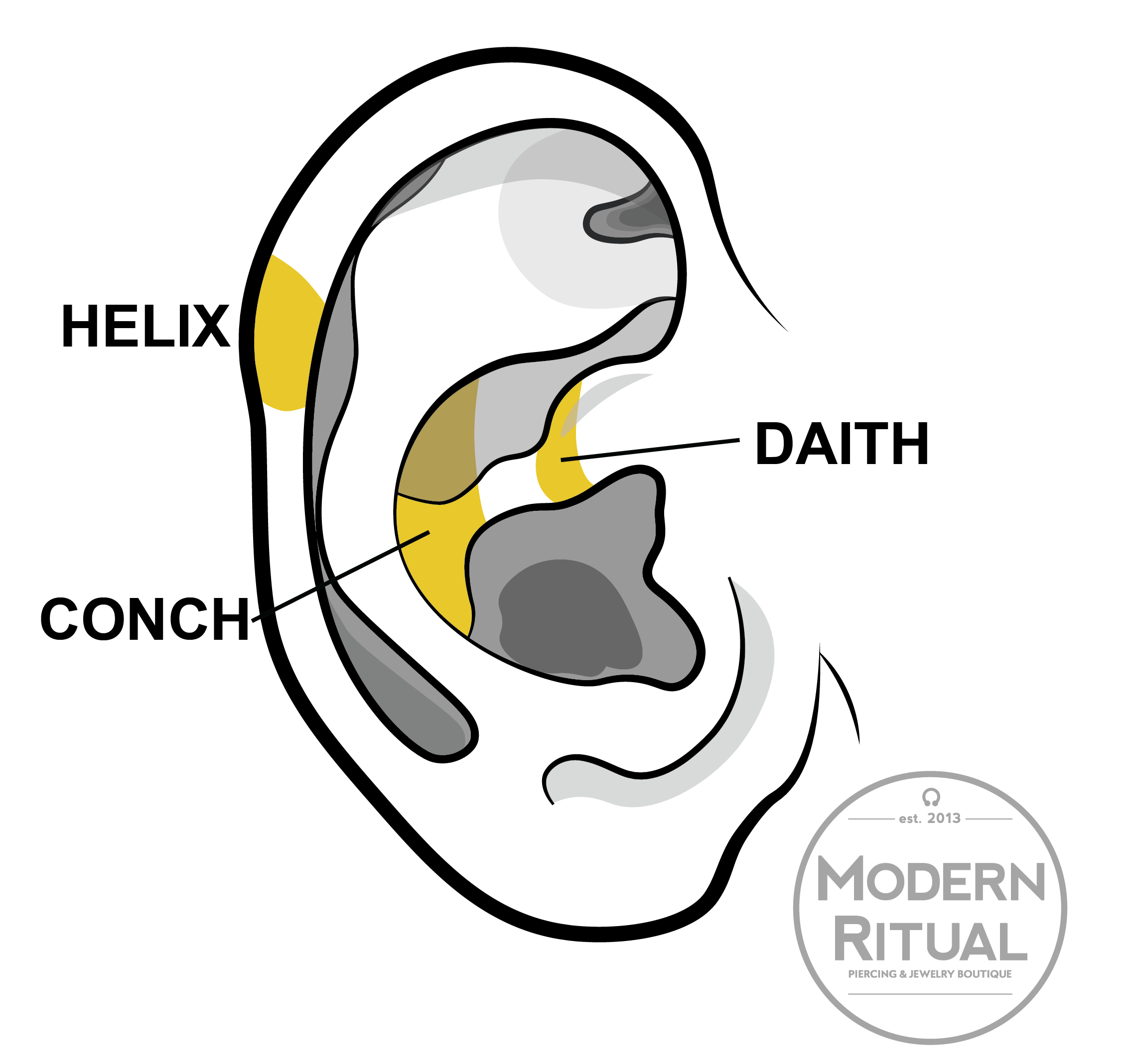 Ear Illustration featuring the Conch, Helix, and Daith piercing areas in yellow.