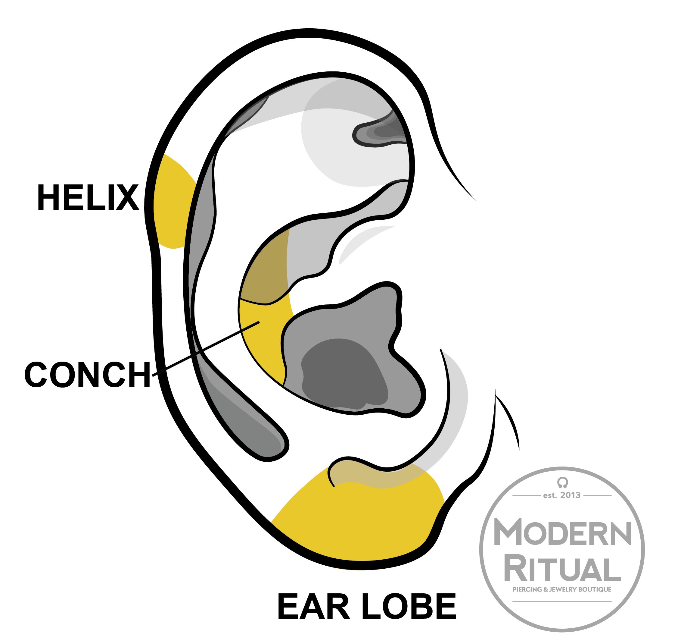 Ear Illustration featuring the Lobe, Conch, and Helix piercing areas highlighted in yellow.