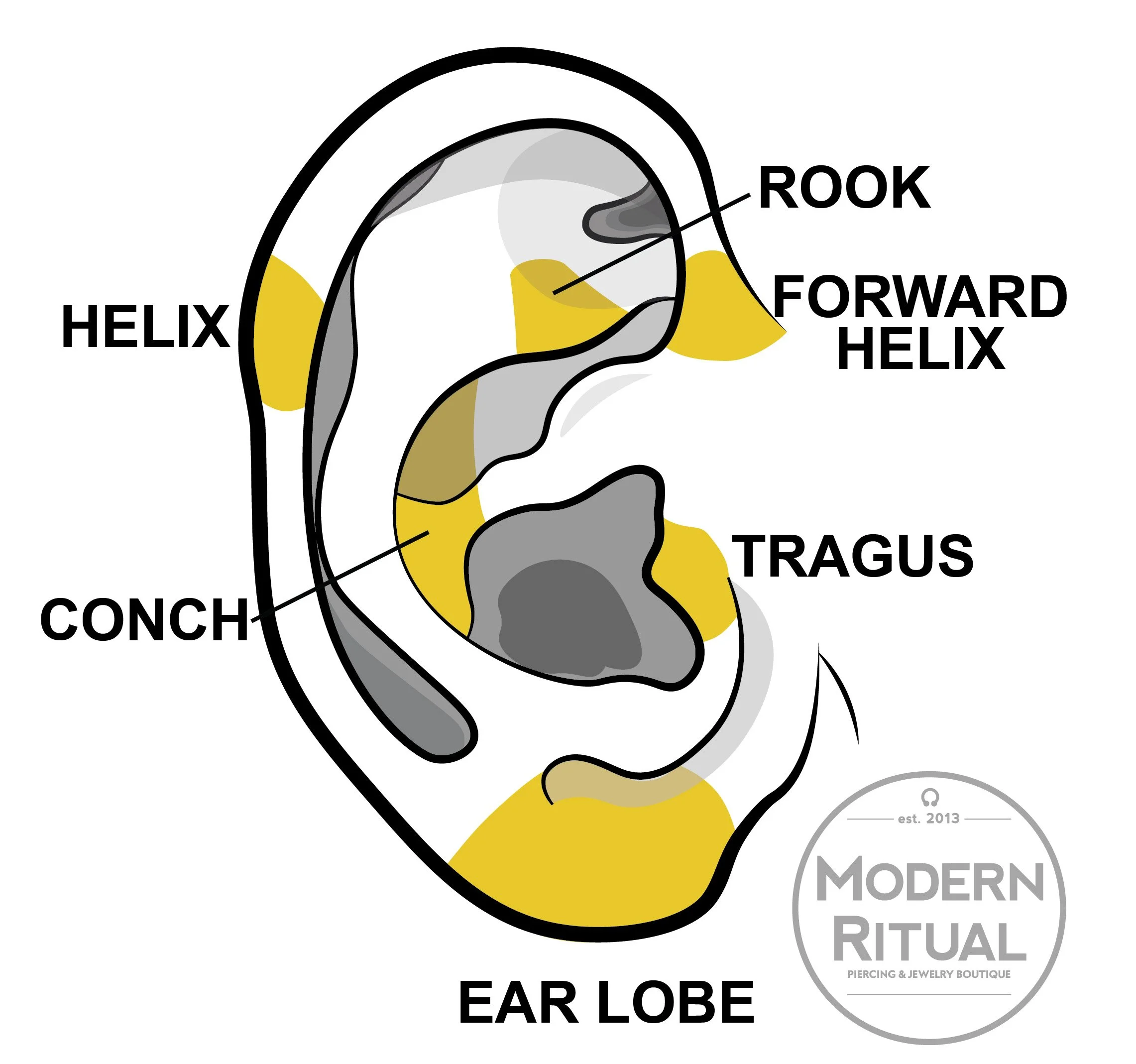 Ear Illustration featuring the Lobe, Forward Helix, Tragus, Conch, Rook, and Helix piercing areas highlighted in yellow.
