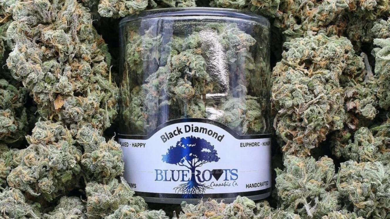 Blue Roots Vendor Day - Edmonds