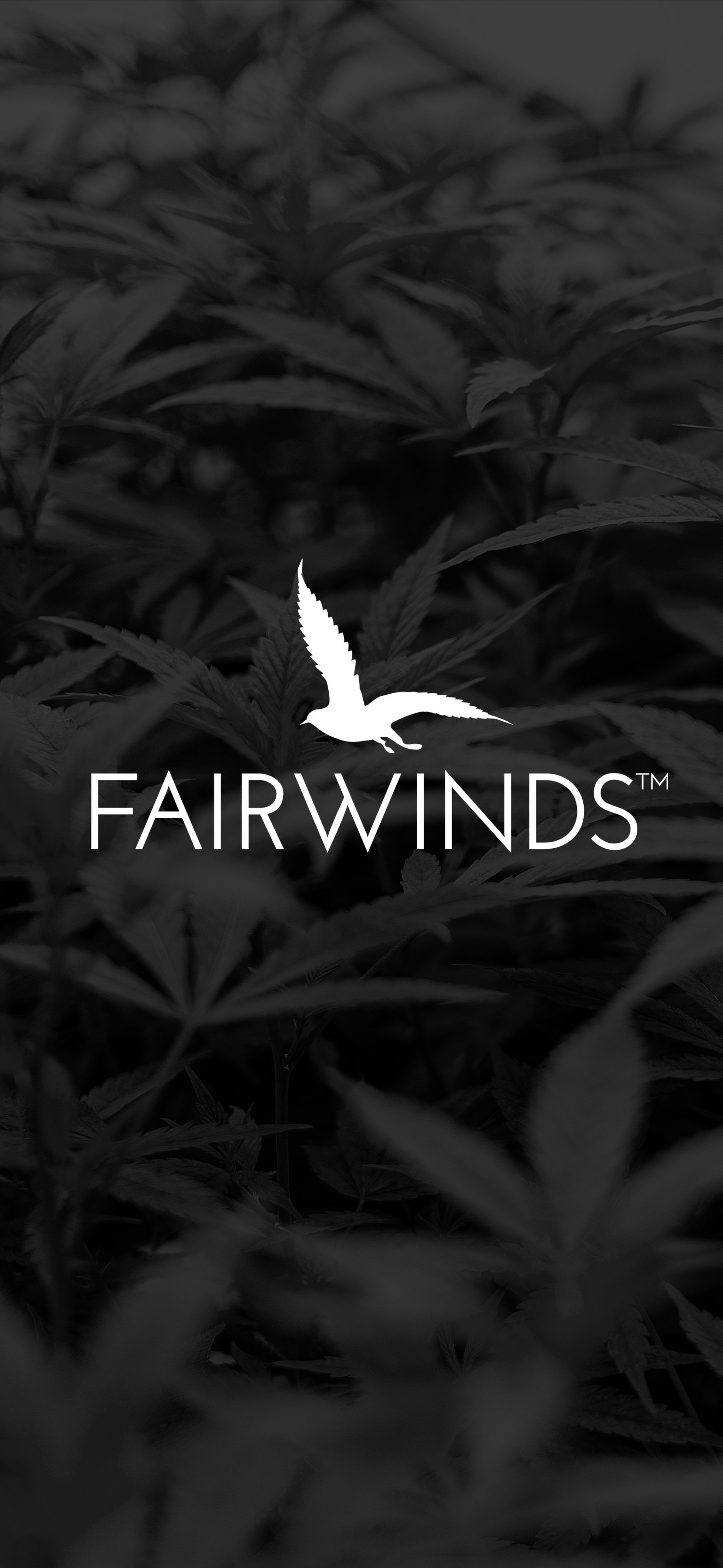 Fairwinds Vendor Day  - Edmonds